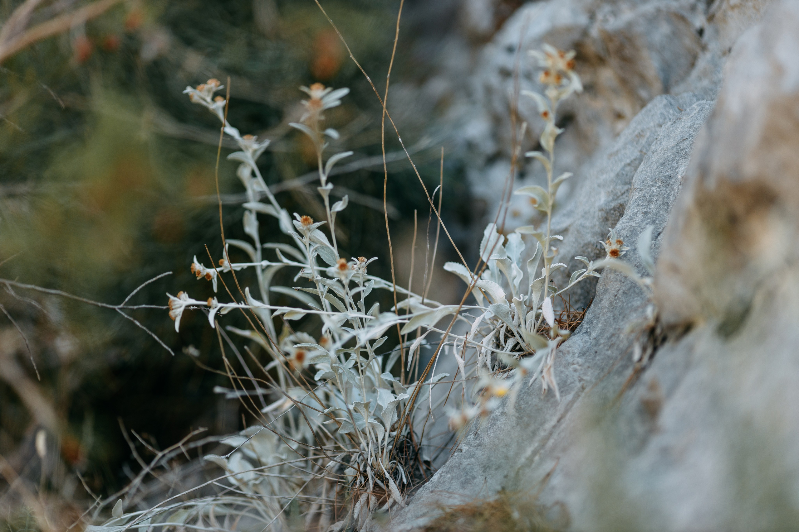 Love Kroatien. Professionele fotografin in Münsingen Olesia Wegele