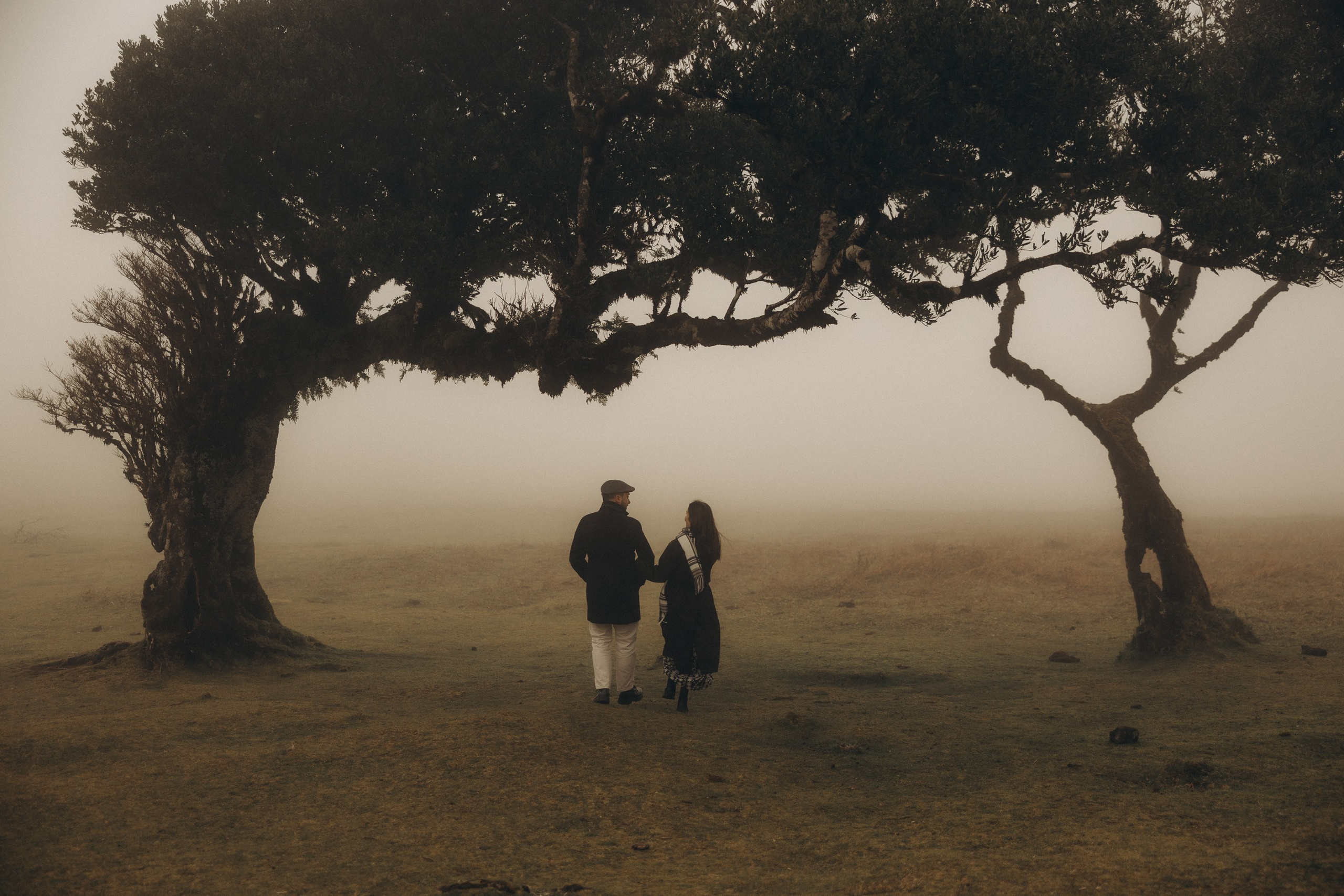 Couple photoshoot in Fanal Forest Madeira PortugalA romantic couple standing amidst the ancient laurel trees of Fanal Forest, Madeira, surrounded by a mystical fog that adds an ethereal touch to the scene