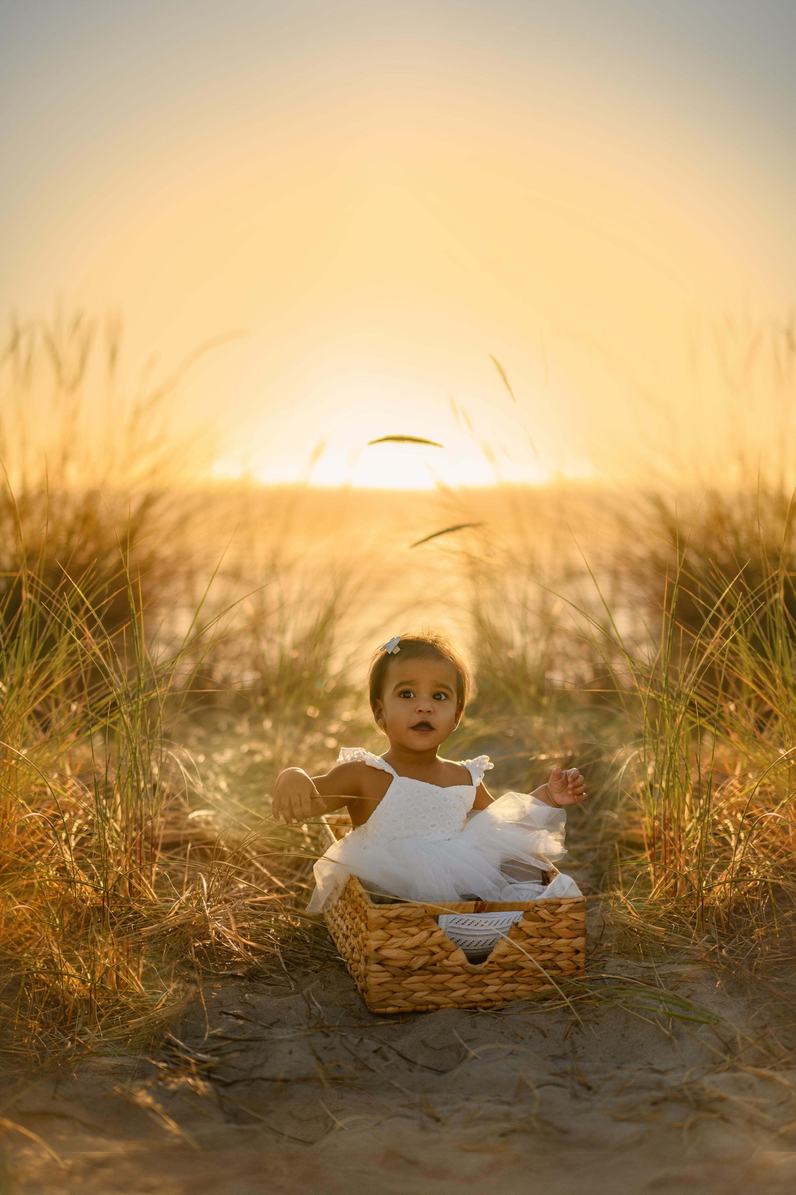 Praveena’s family. Wedding & family photography in Seattle area. Helen Michelle photographer