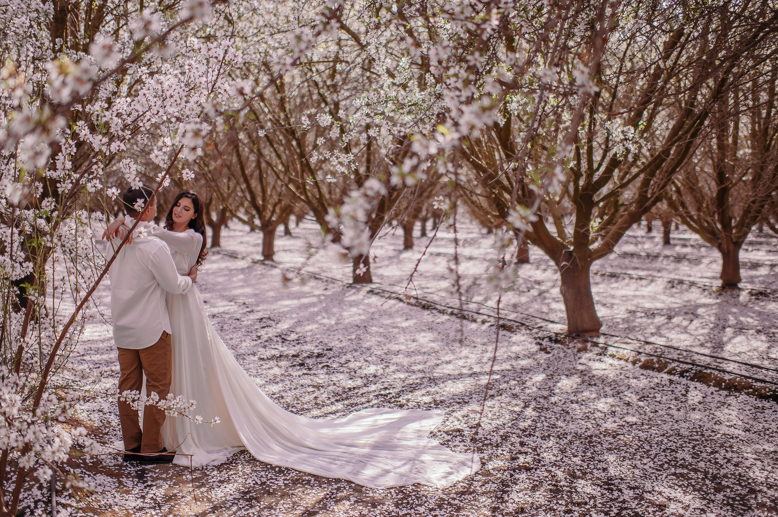 Proposal photographer in Charlotte. Wedding, maternity and family photographer in Charlotte Tasha Minn