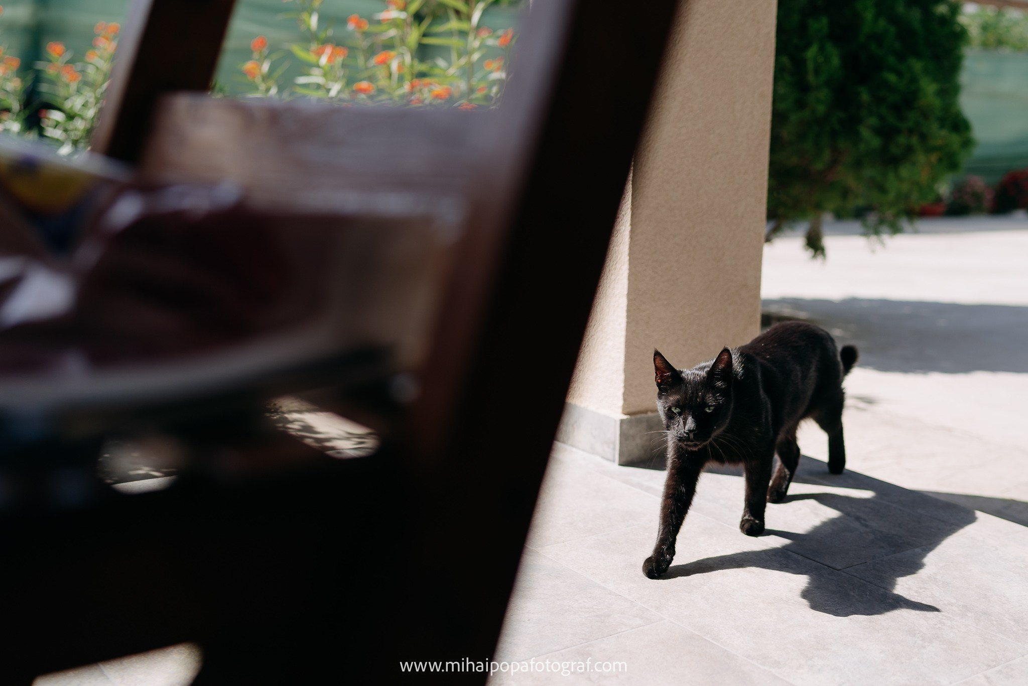 Fotograf de nuntă în Tecuci| Mihai Popa Fotograf. Fotograf Nuntă, Botez și Cununie Civilă în București - Mihai Popa