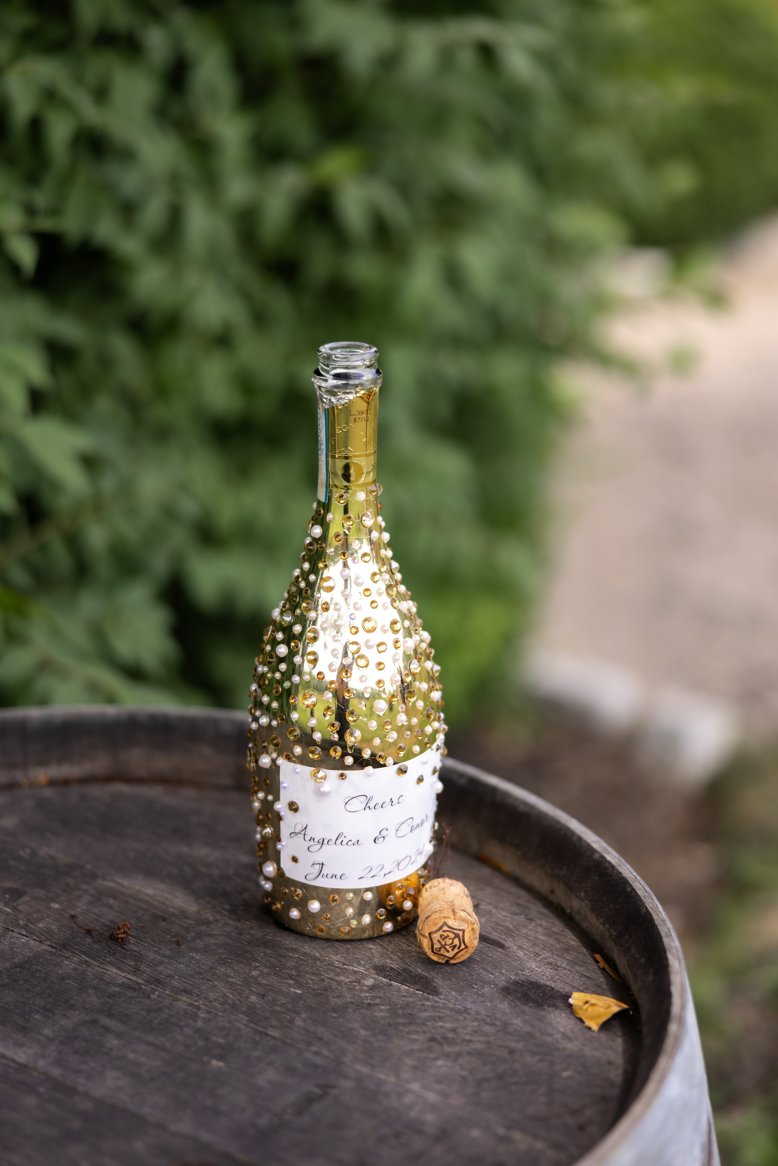 Angelica & Conor. Wedding Photo & Video