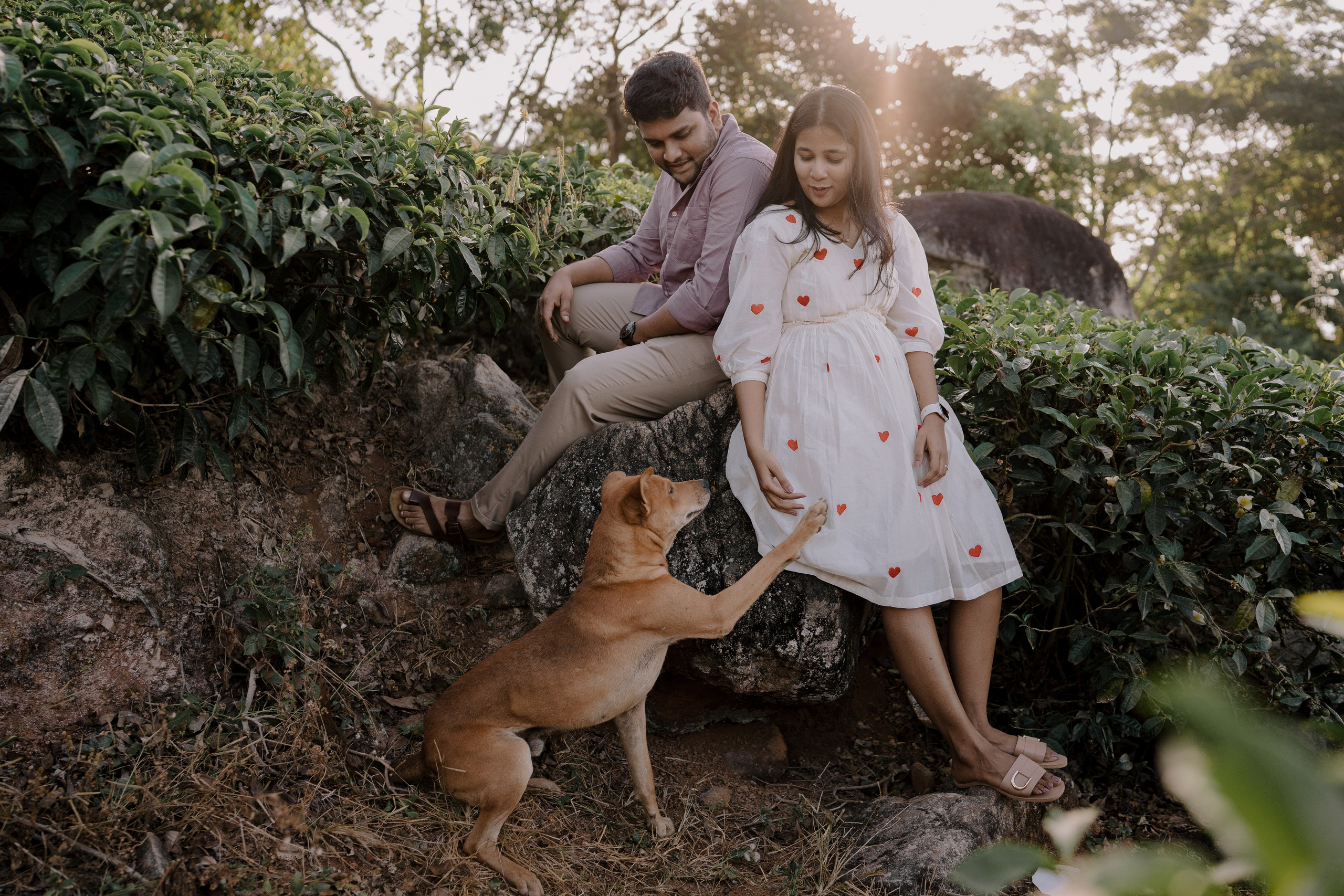 Greeshma & Vignesh. Agam Vizha