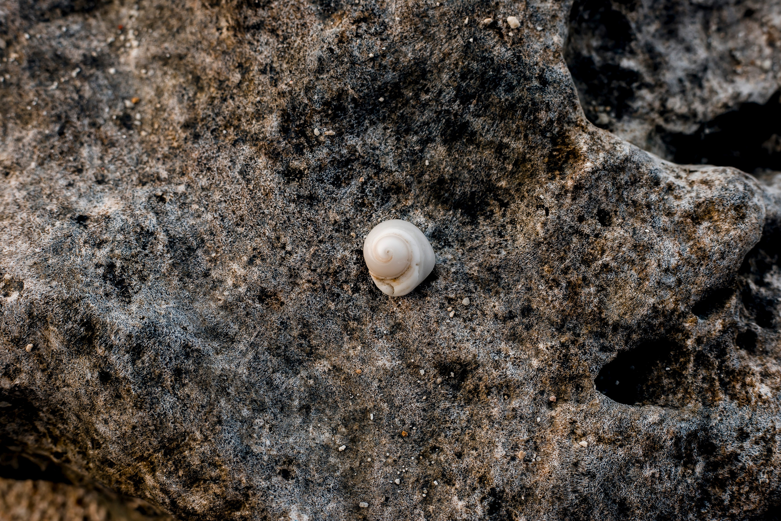 Andaman Islands, Part2. Art Photographer