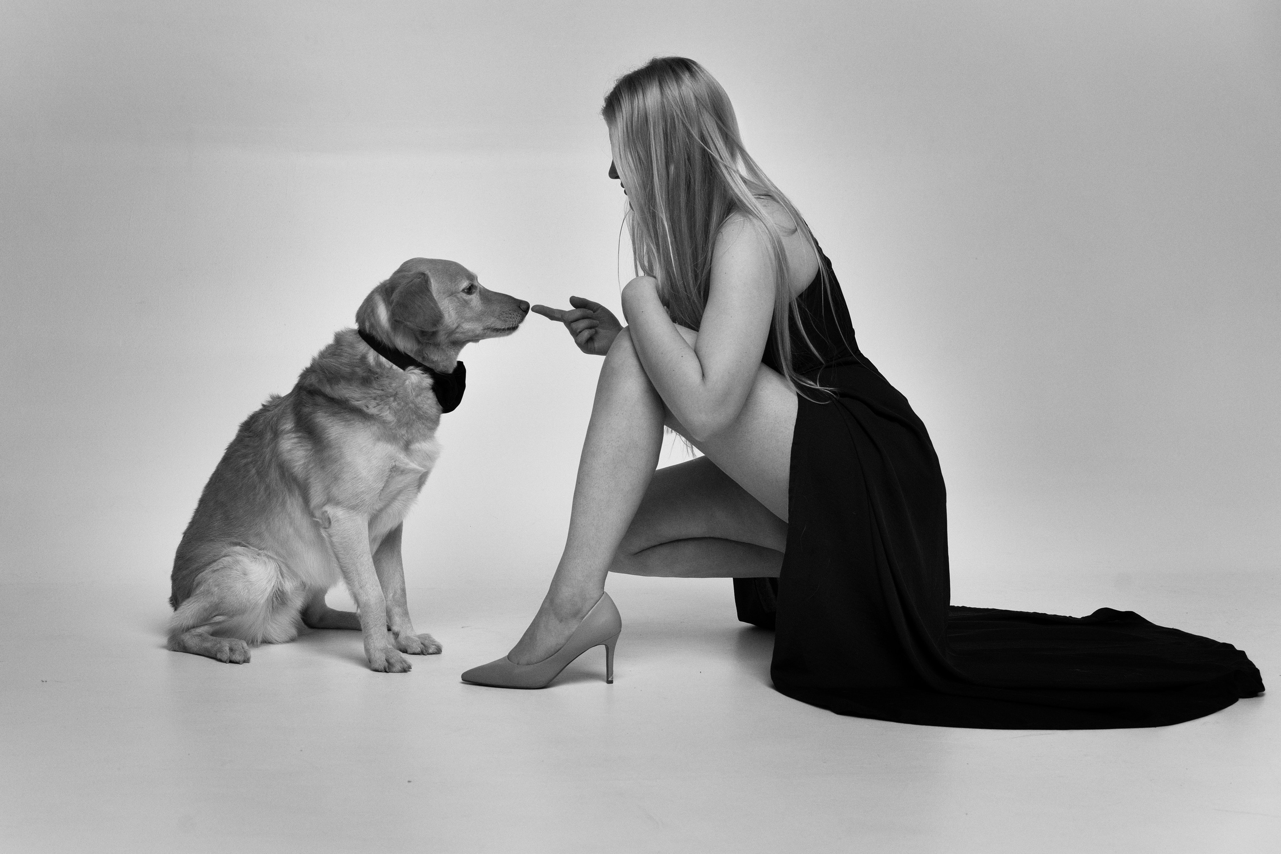 Studio with dogs. Sports and portrait photographer in Riga