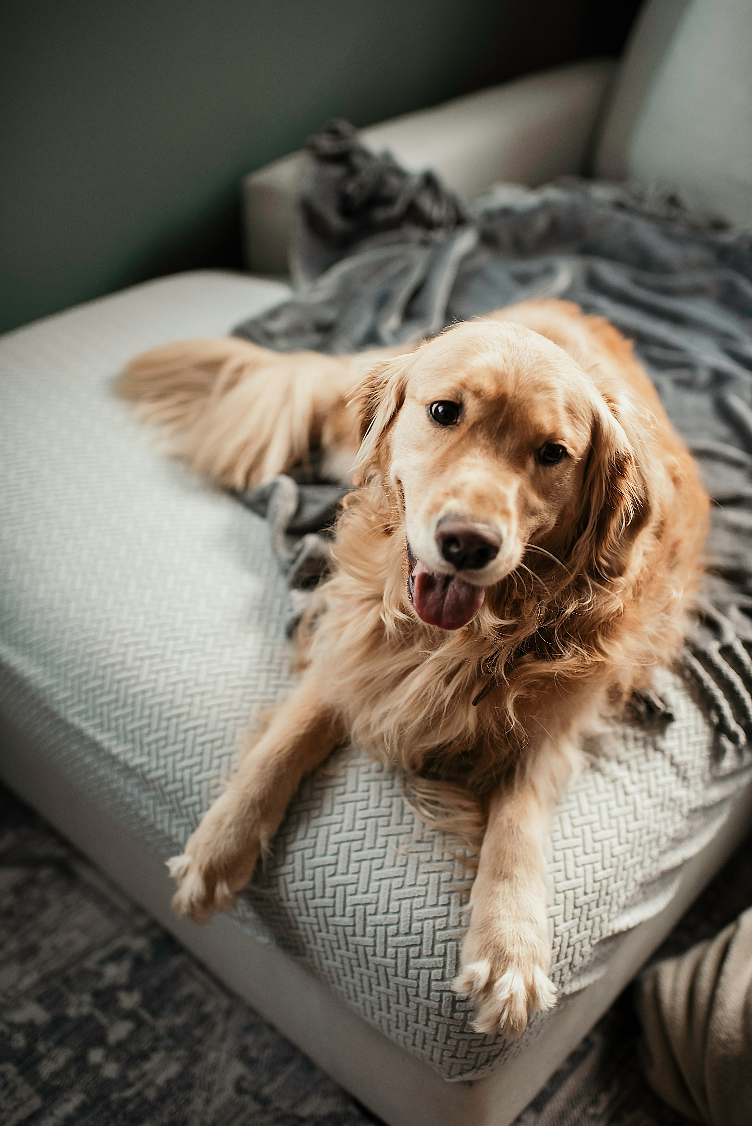 Mr Cute. Newborn, pregnancy, family photographer in New Jersey