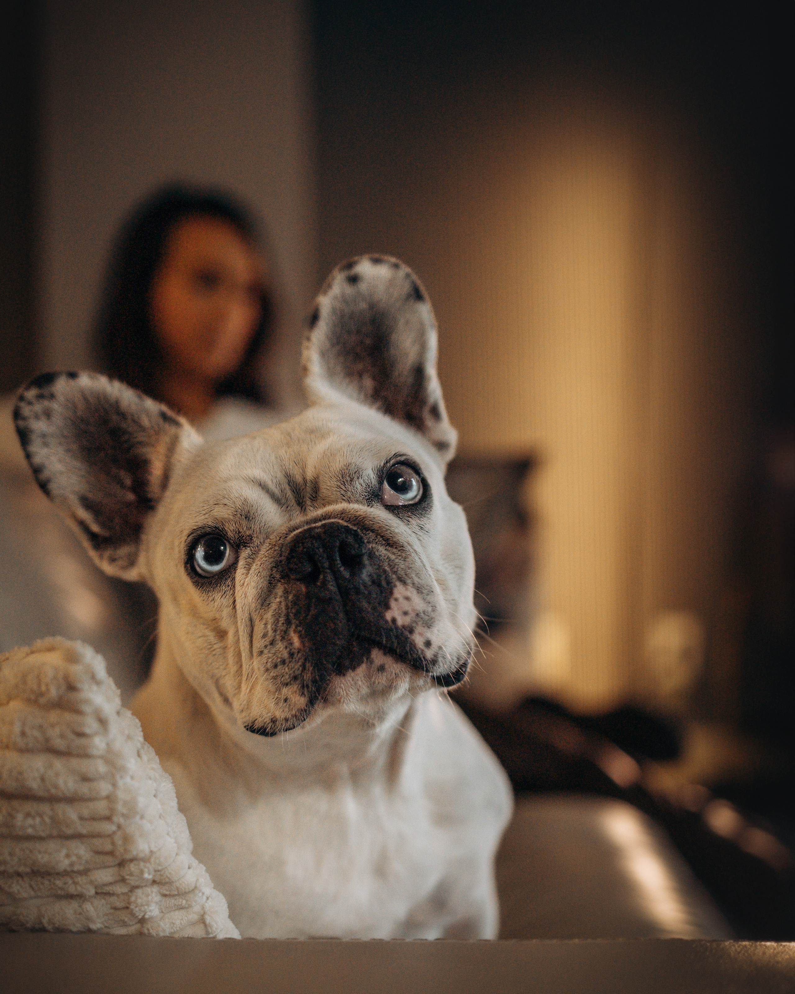 Pearl & Melanie. Pet Photographer Viktoriya Aleshenko