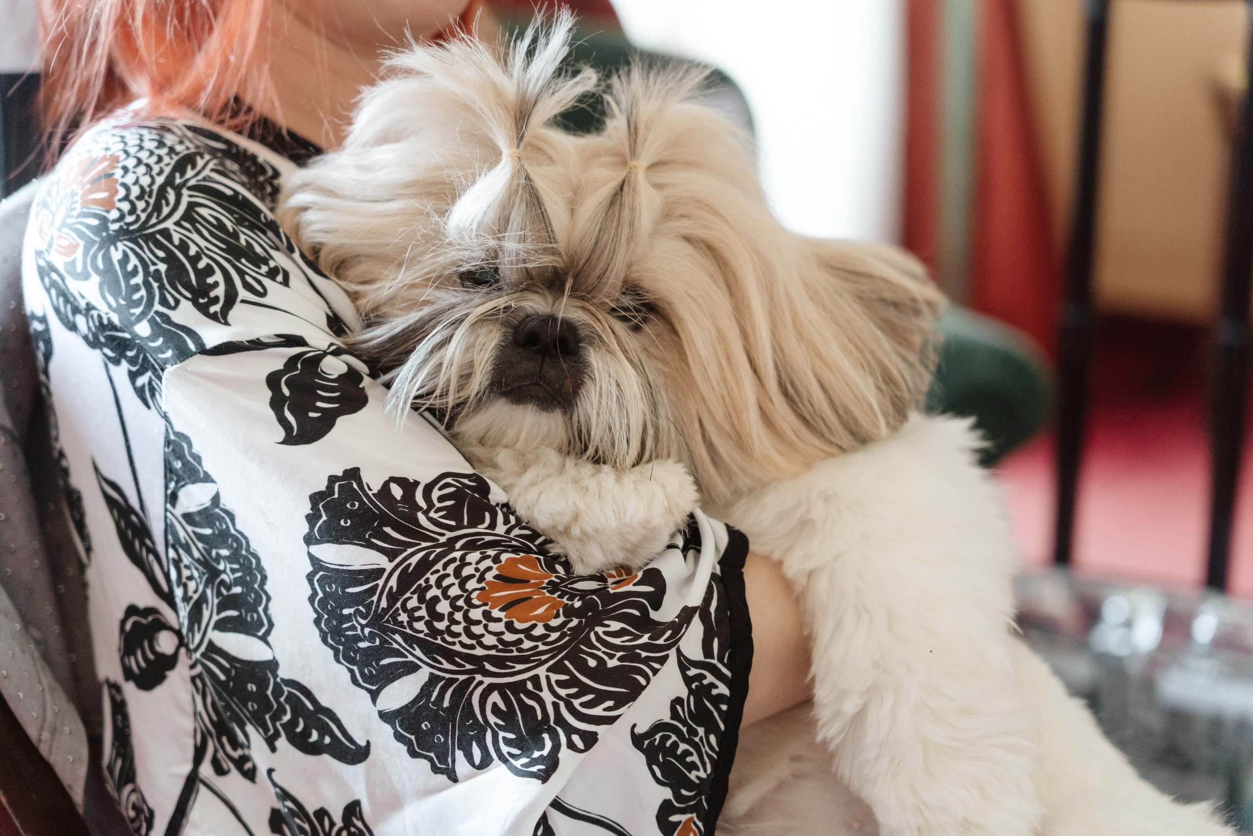 EKATERINA AND CARLO _LAKE MAGGIORE. PHOTOGRAPHER IN ITALY