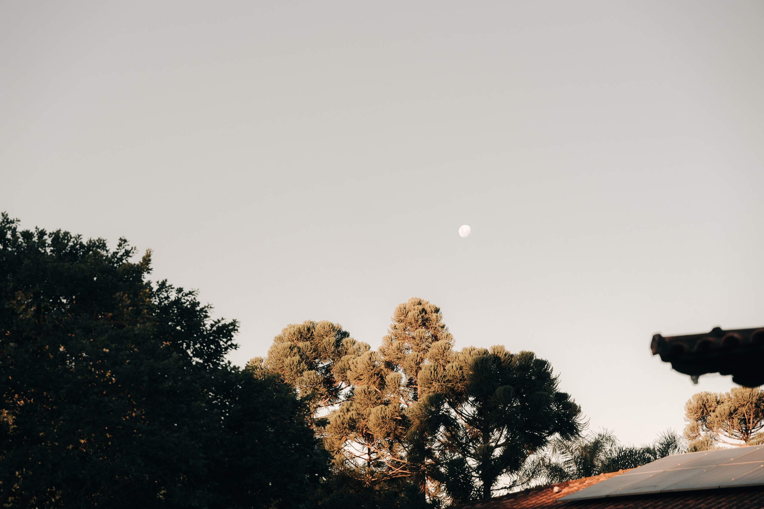 CASAMENTOS. Fotografia de casamentos com verdade, sensibilidade e tempo preservado