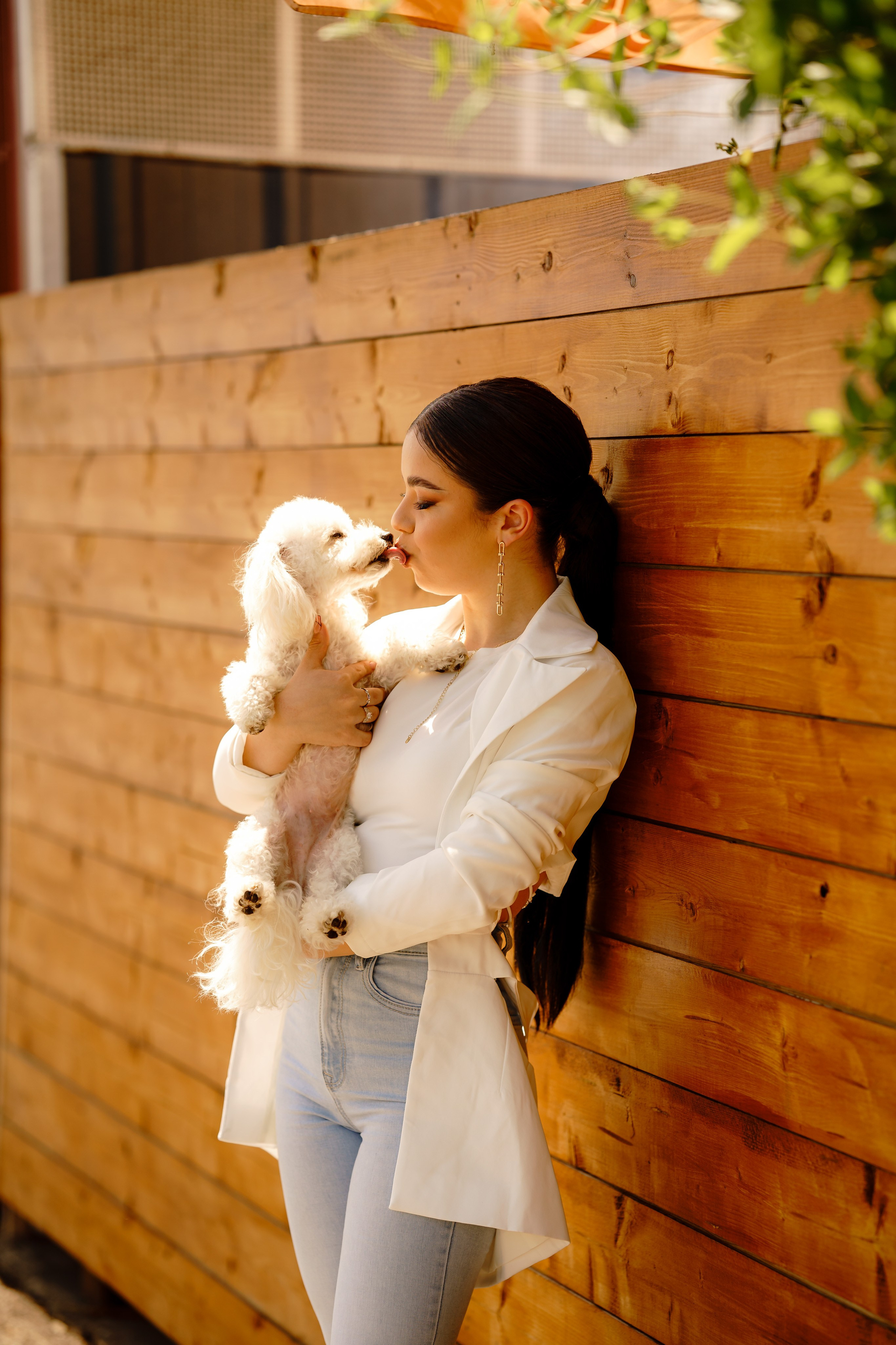 Distracție Gratuit. Trendy Albums