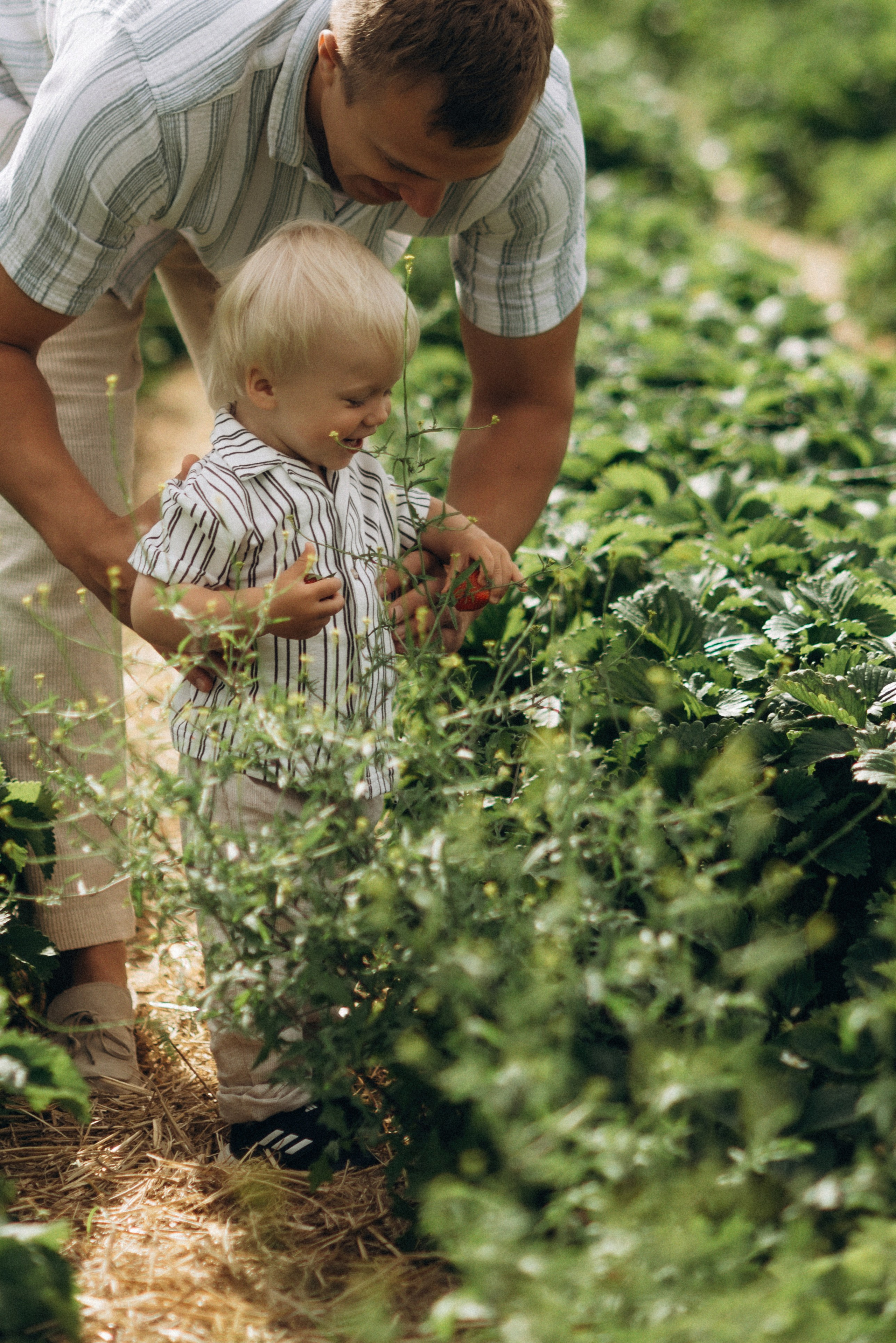 Семейная фотосессия в клубнике. Семейный фотограф Лейпциг, Германия