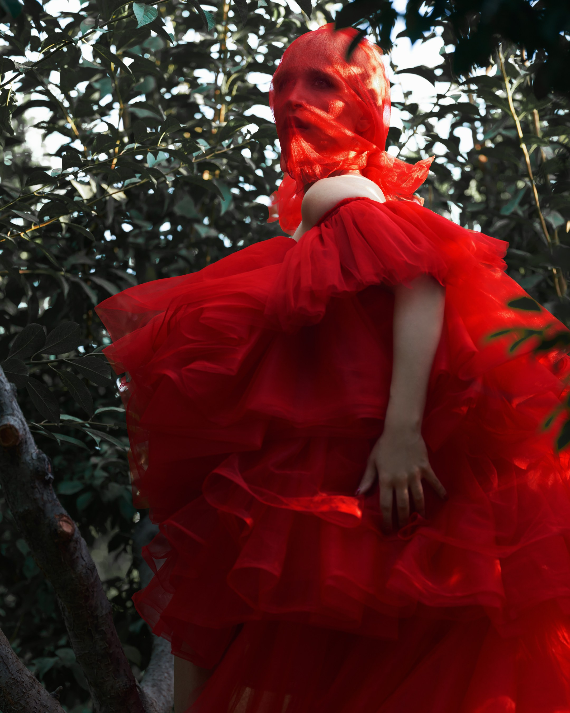 Fashion. Alireza Sahebi Photographer