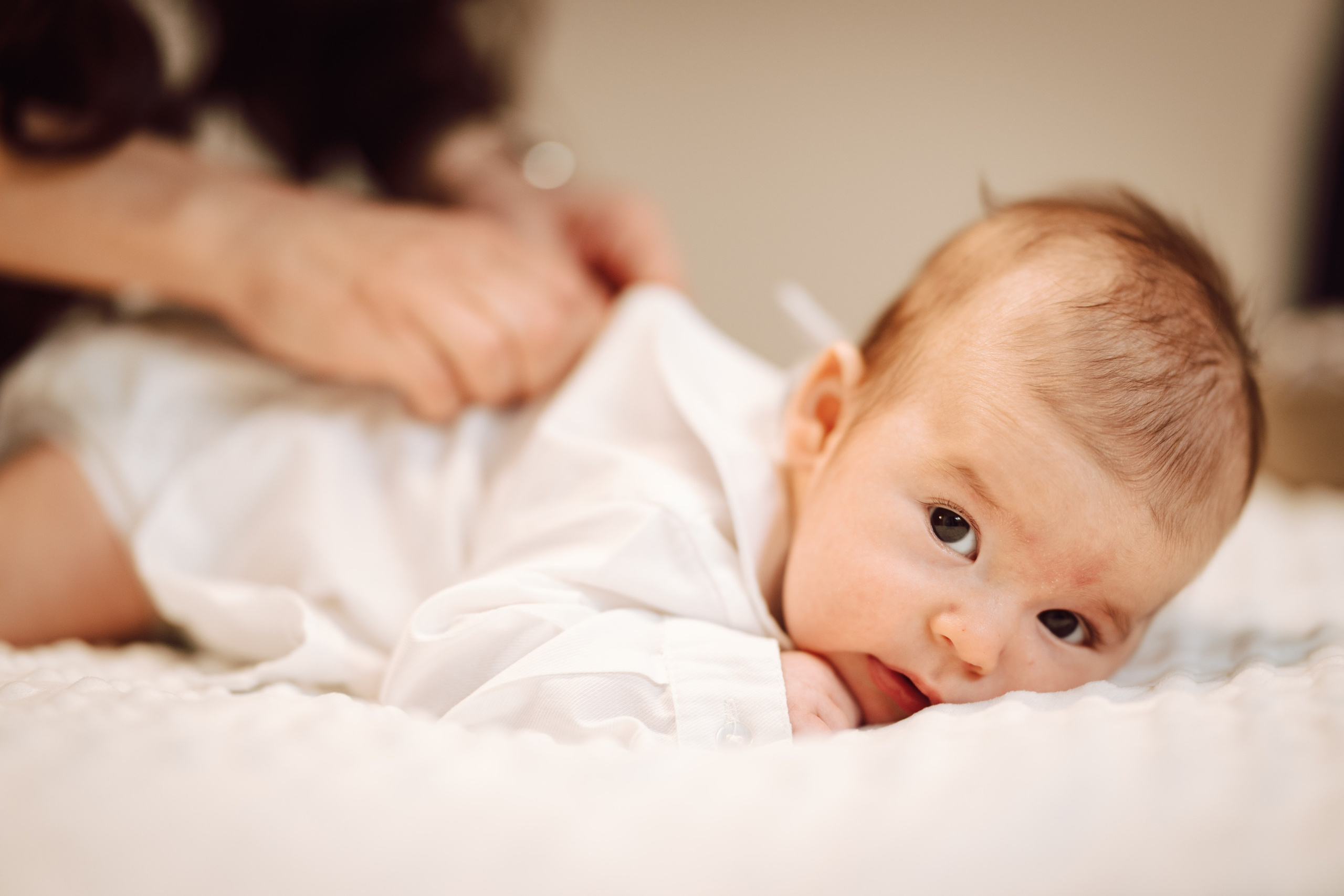 Selim. The Catalins Events — Wedding Photography & Videography