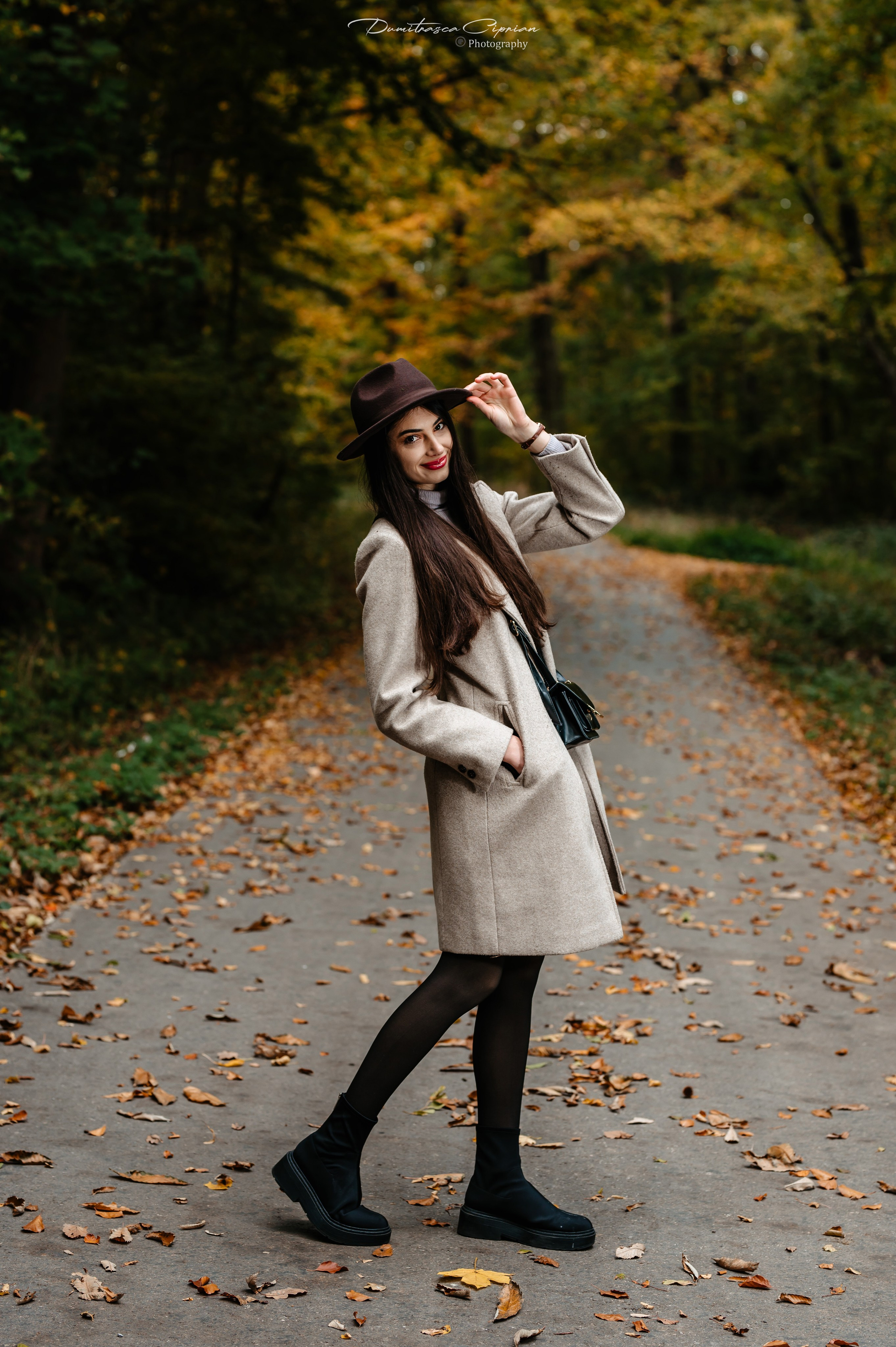 Golden Fall. Dumitrasca Ciprian Photography