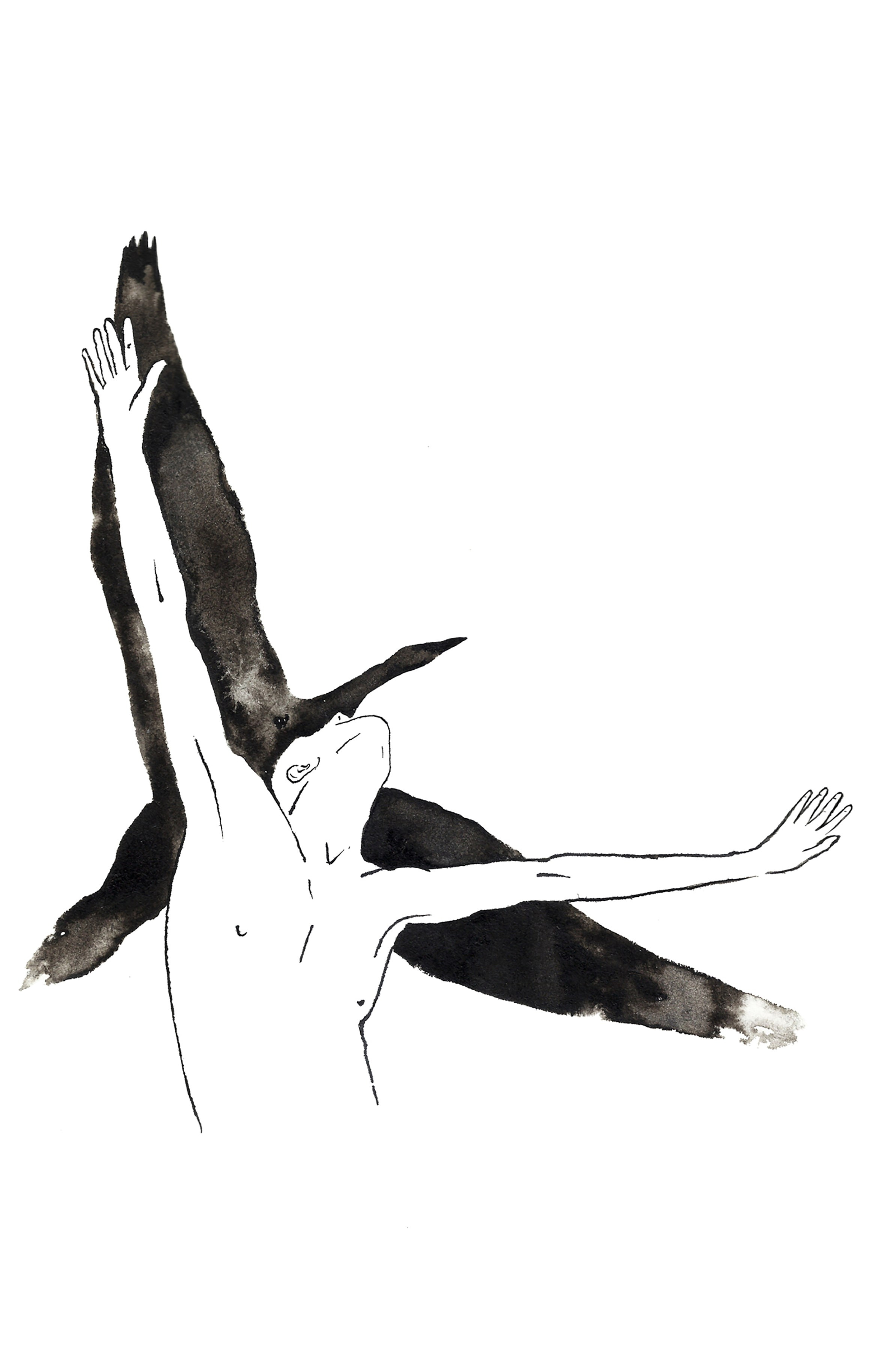 Illustrations. Artist, photographer, graphic designer, dreamer