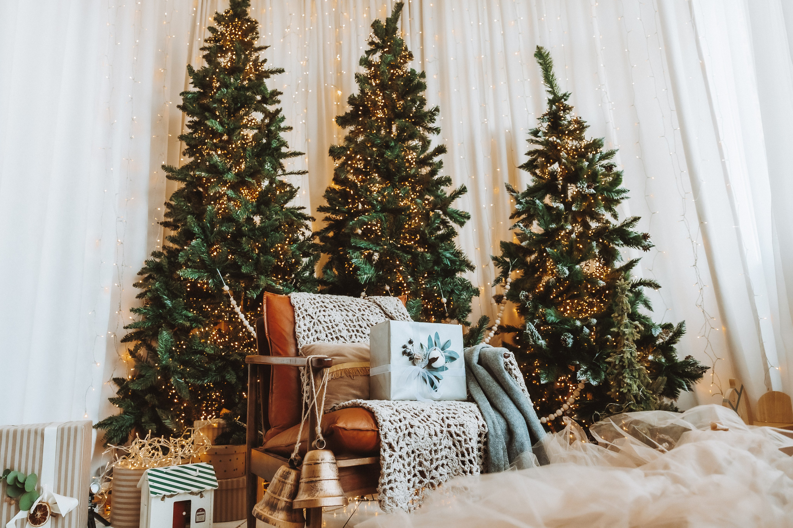 Декор 2023-24. Фотограф Ирина Йотова