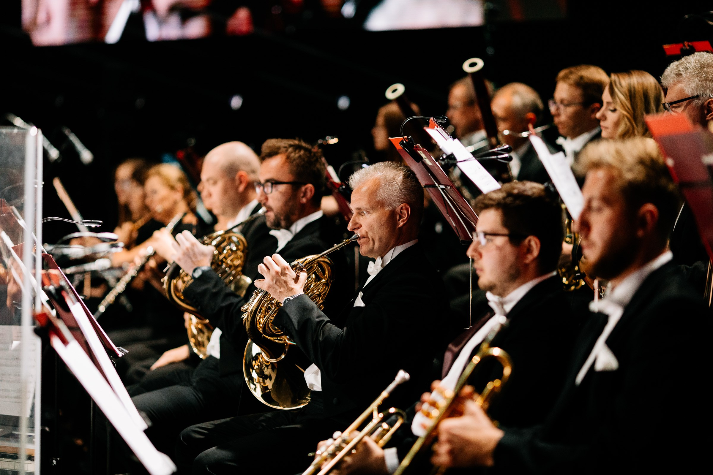 Opera Leśna Koncert. Fotograf Ślubny Warszawa - Sesje Biznesowe Rodzinne Eventy
