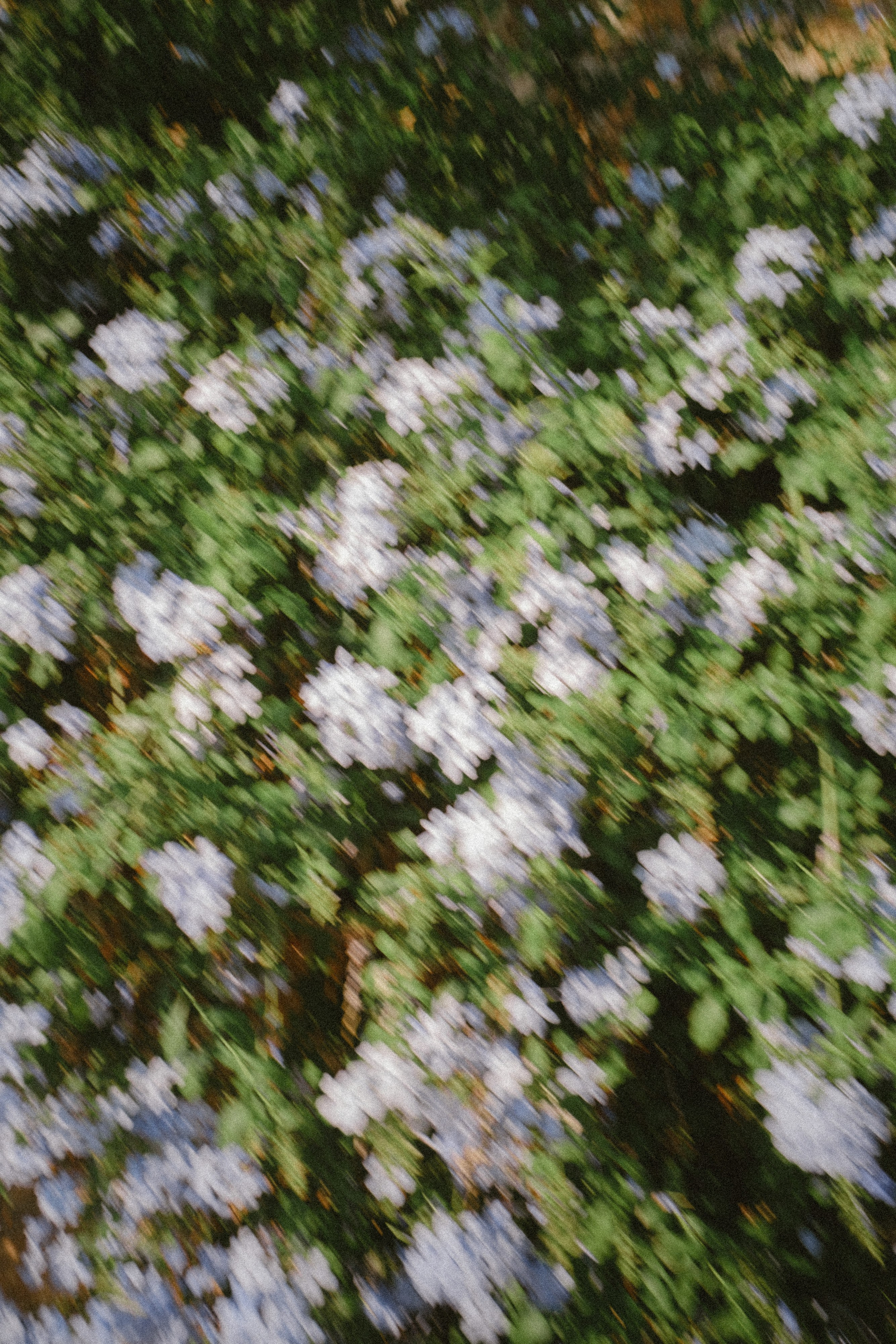 Sneak Peek Vivian & Santiago. Sayulita Wedding Photographer, Puerto Vallarta, Cabo