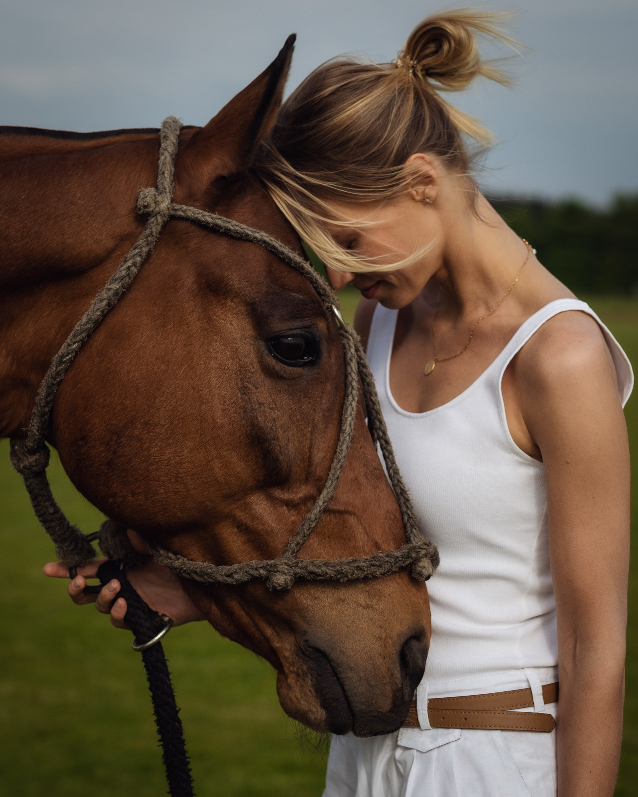 Photo shoot with horses