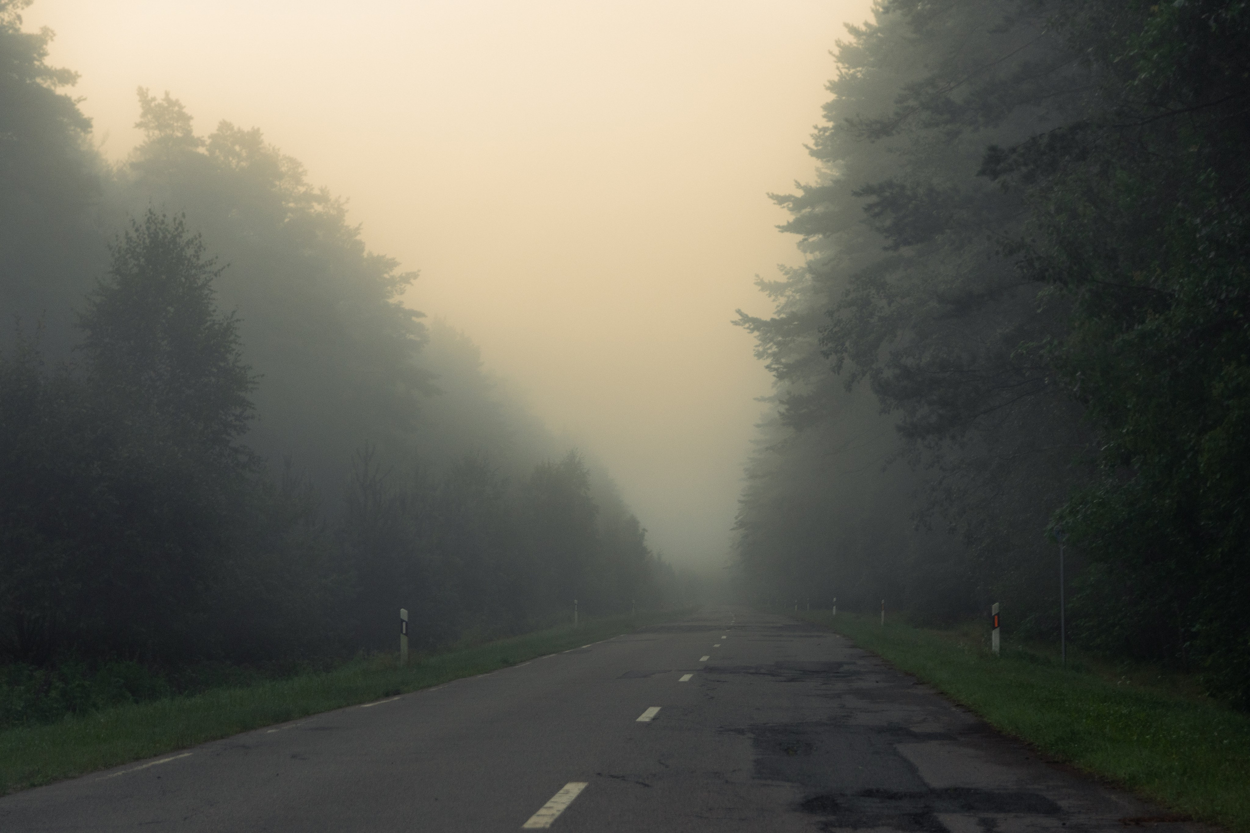 Landscape. Portrait and Street photographer in Vilnius Edgar Shaipunas