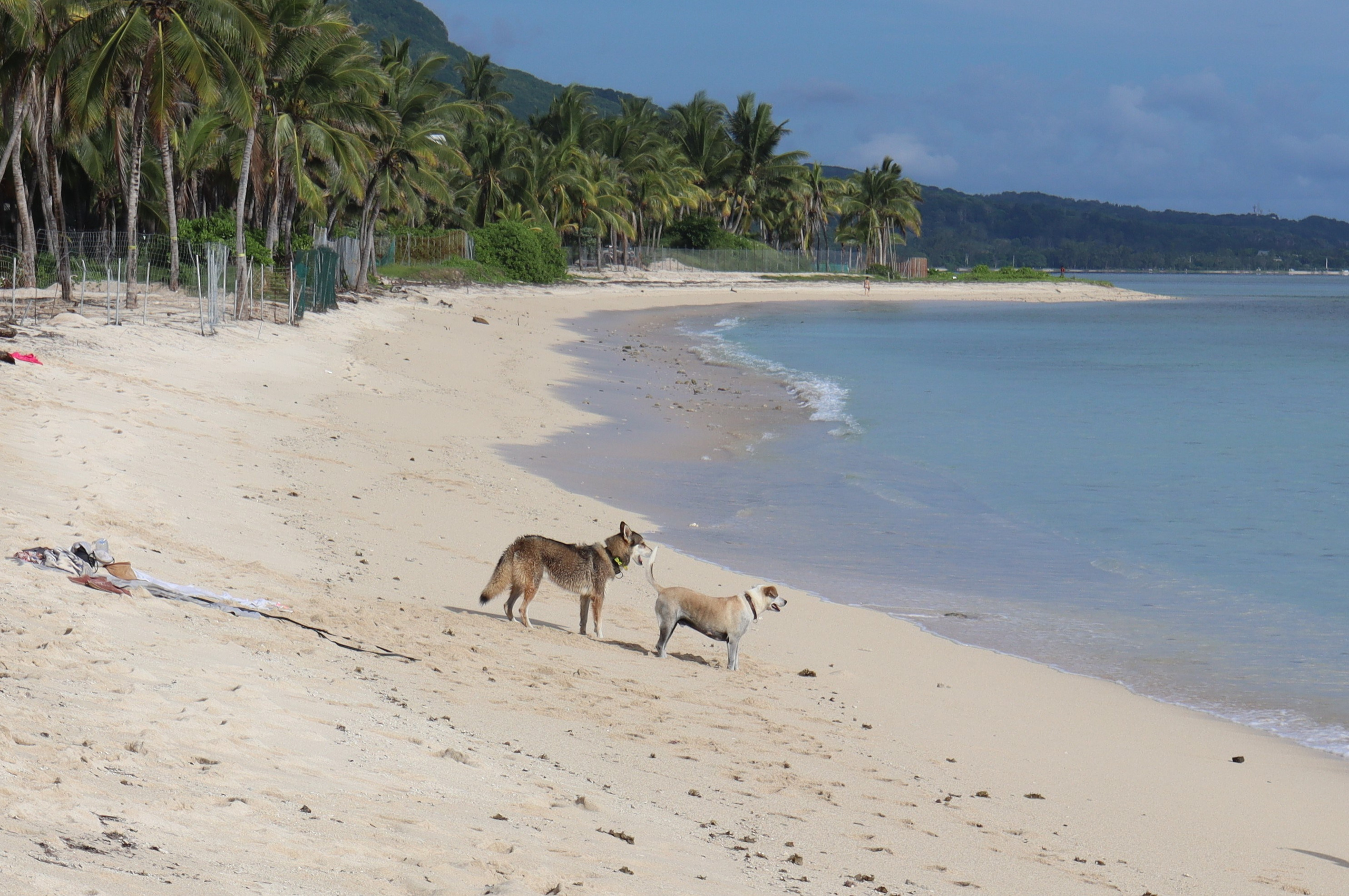 Путешествие на родину птицы додо. Travel photographer Ksenia