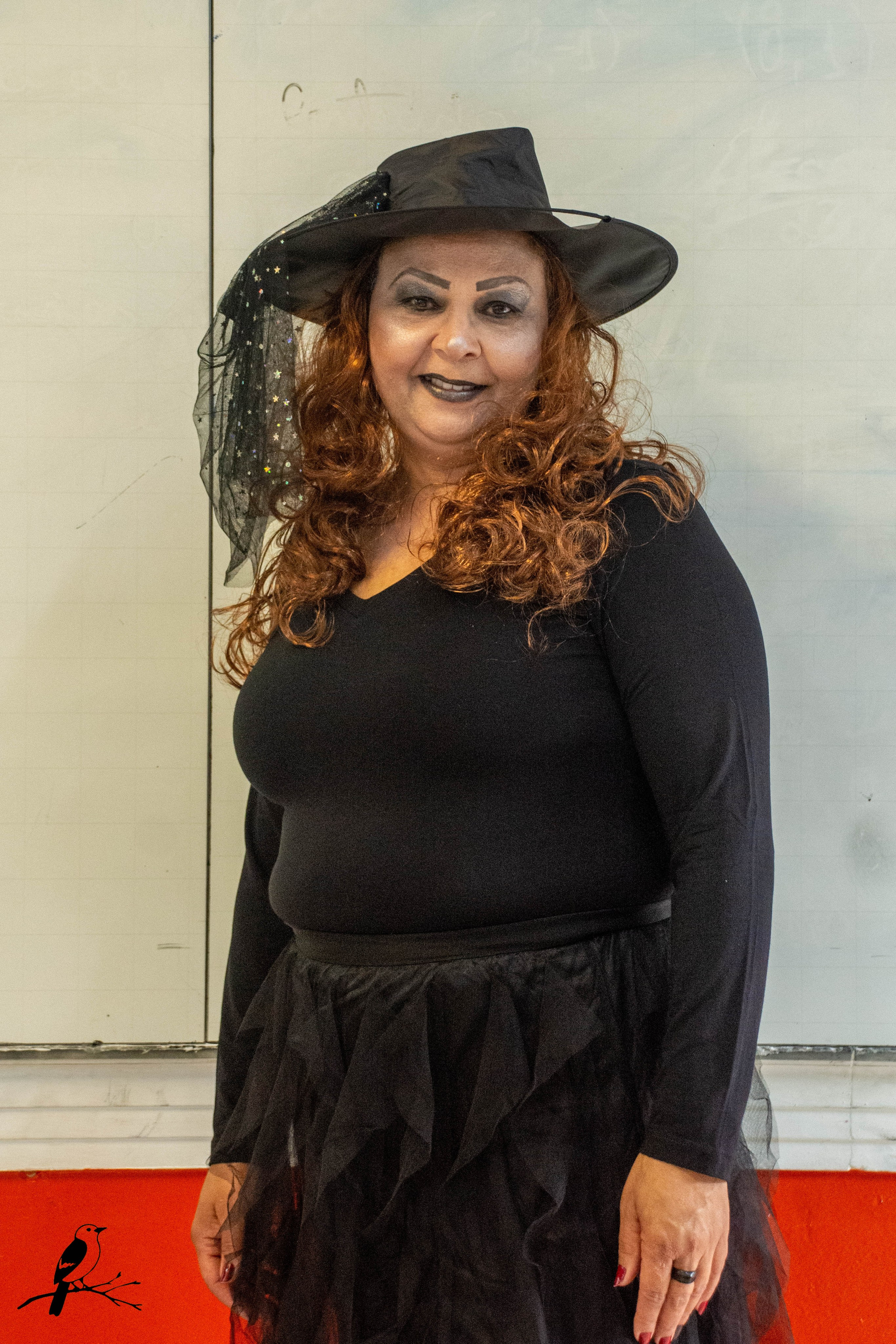 Festa Halloween. AerobirdStudios