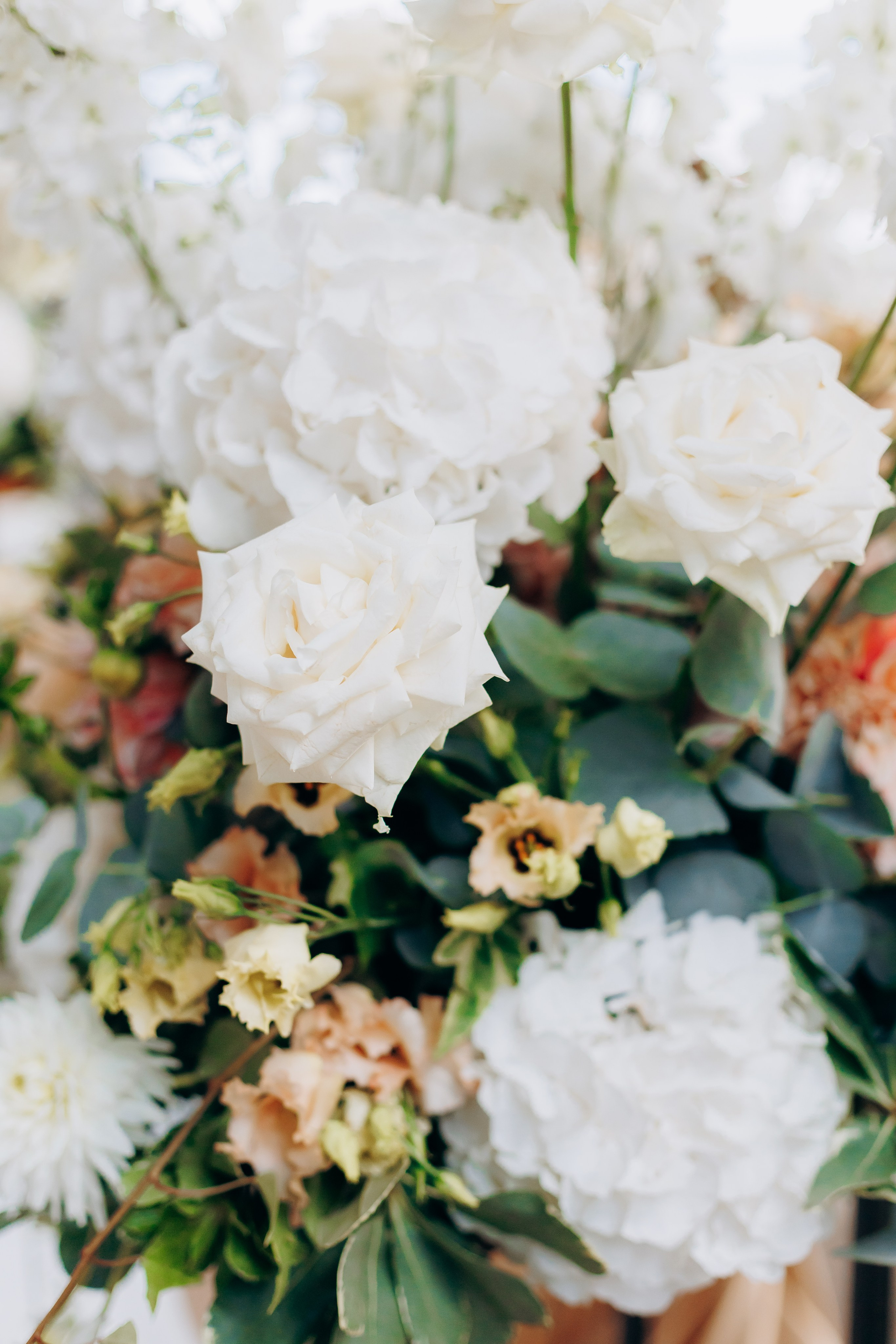 Nader & Sarah. Wedding and Family Photograph