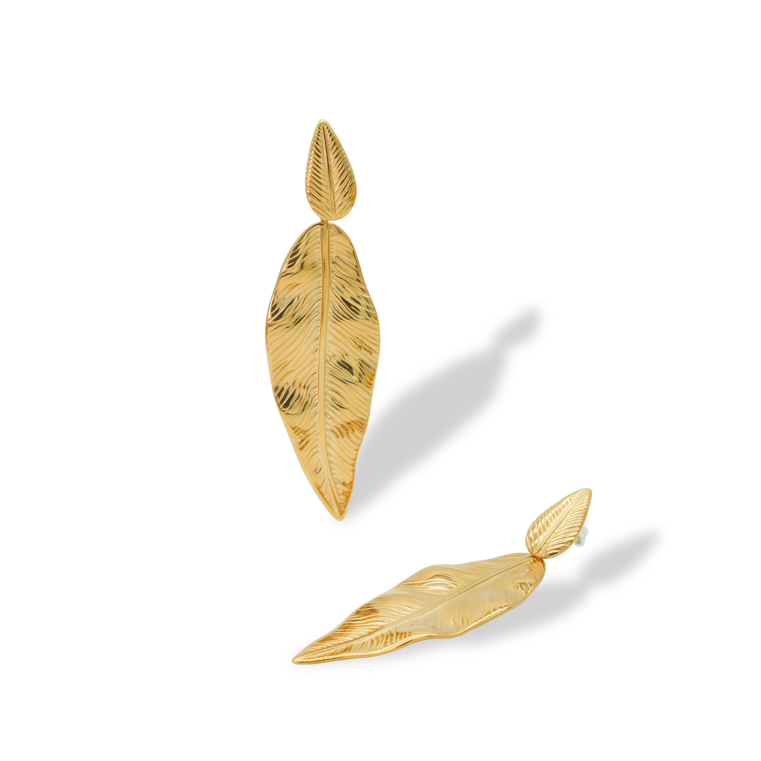 All areas. Video & Photo Service