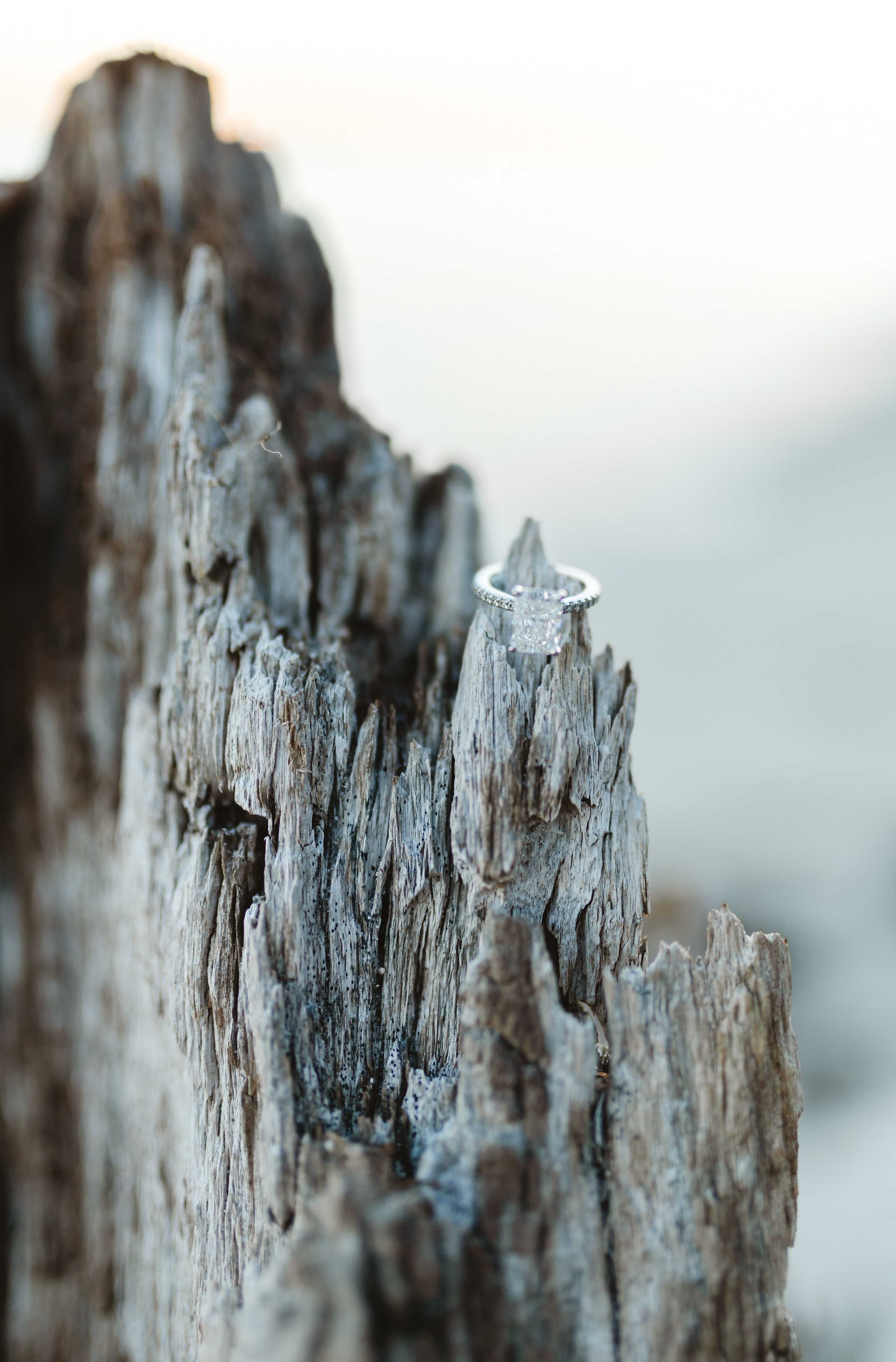 ENGAGEMENTS. YES I DO PRODUCTION — Wedding photography&videography