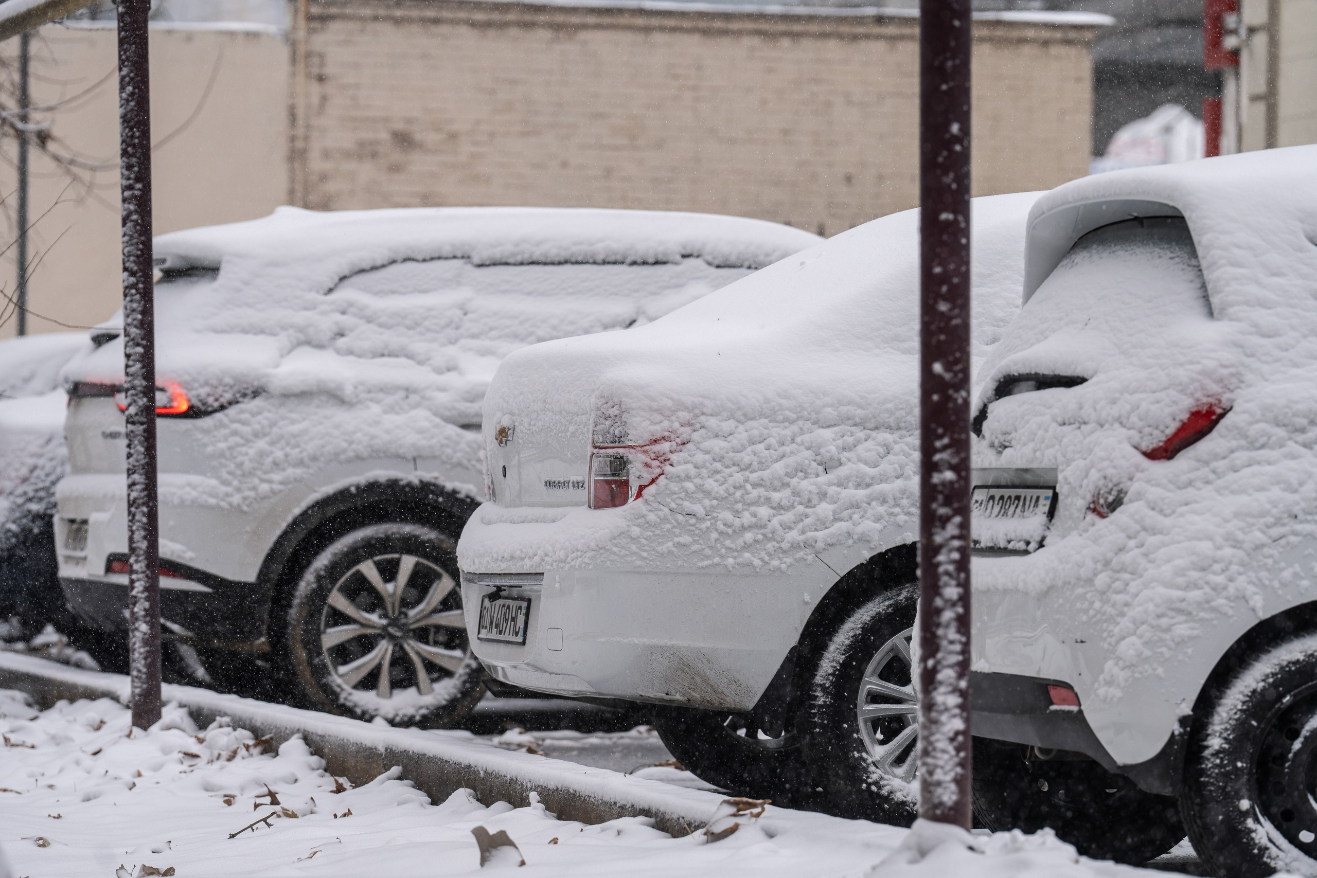 Снег. Георгий Намазов | Фотограф в Ташкенте