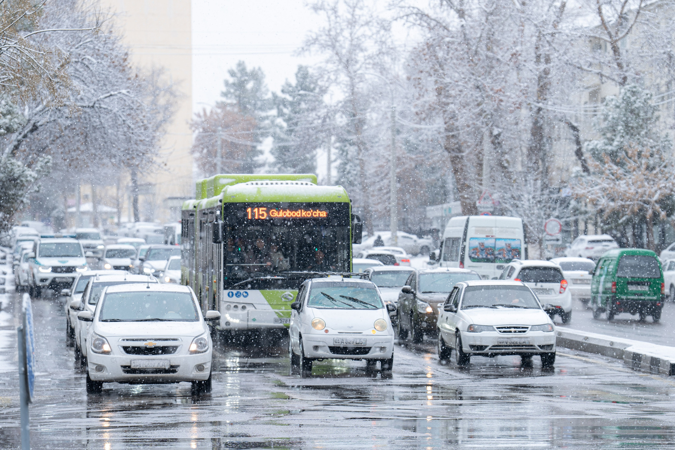 Первый снег в 2024 году. Георгий Намазов | Фотограф в Ташкенте