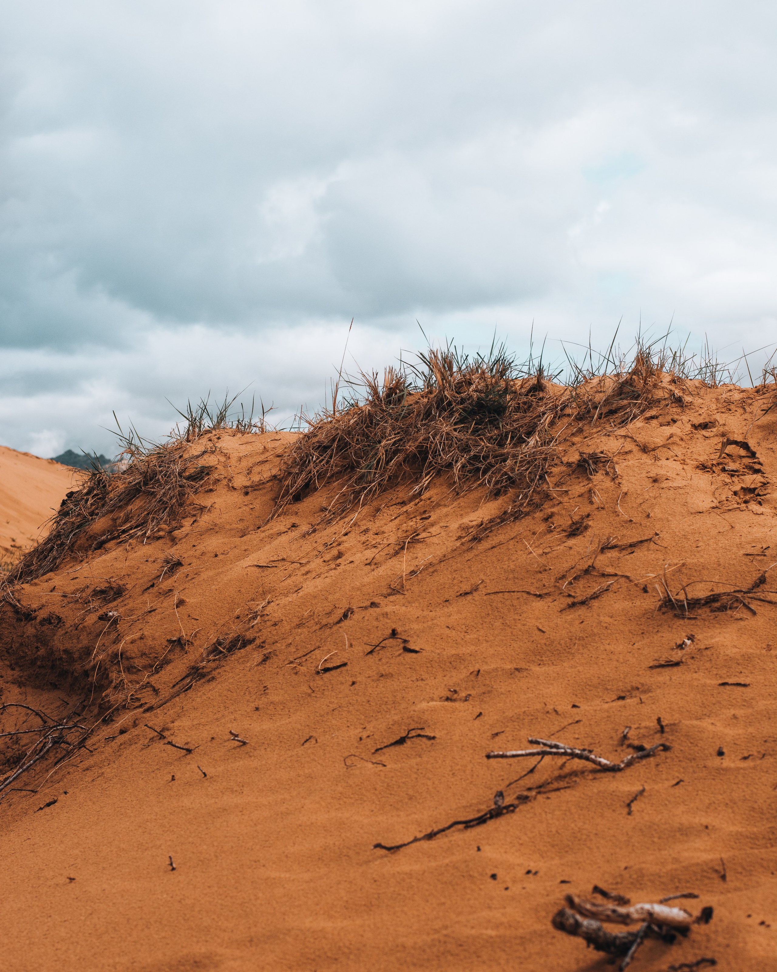 Photography. ODIX Creative