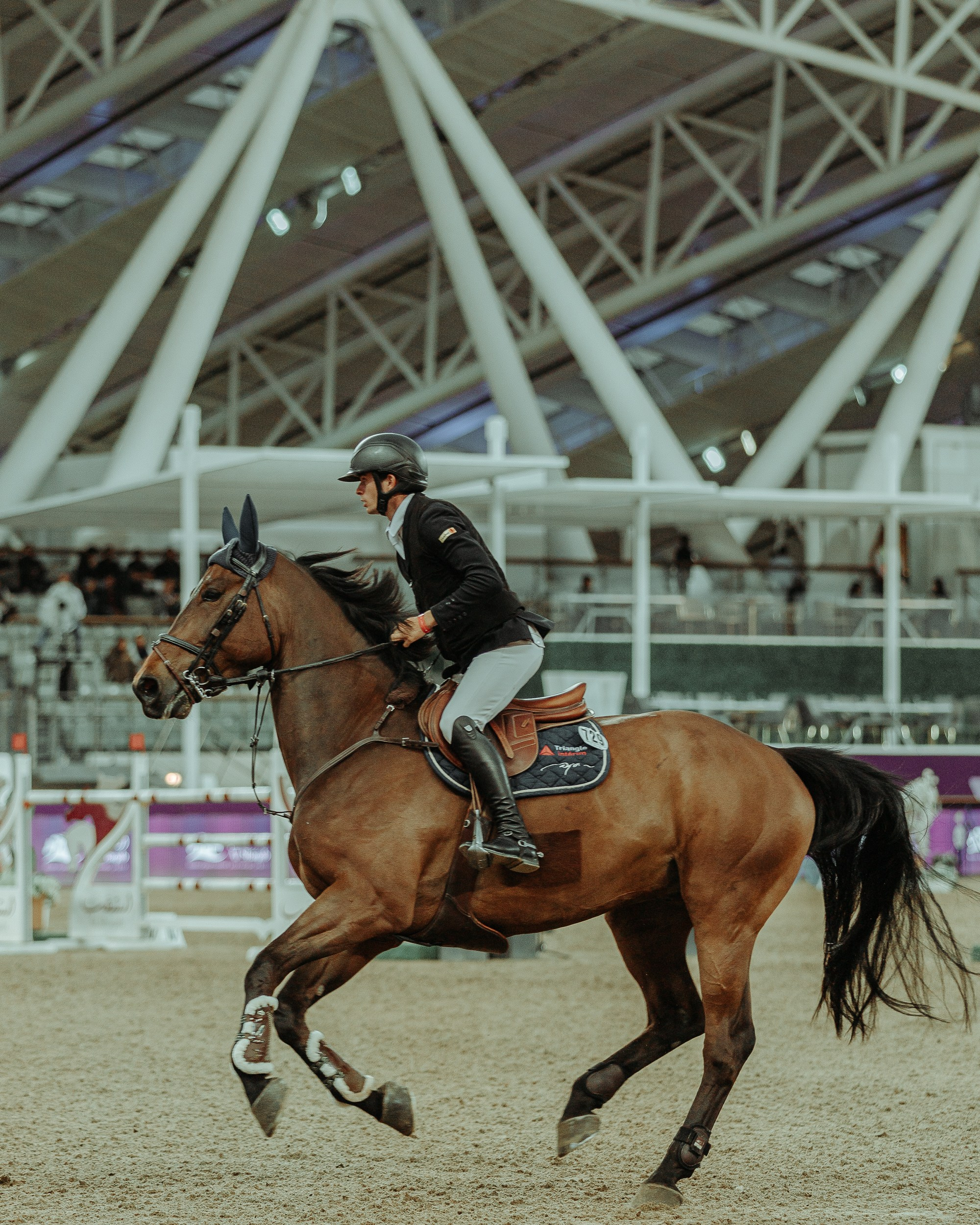 CHI 2024 — Doha. Regina Turbin — official website