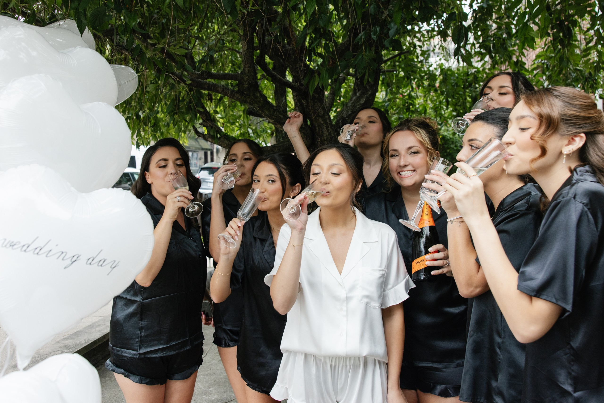 Alyssa & Stephan, East Brunswick, NJ. Wedding Photo & Video