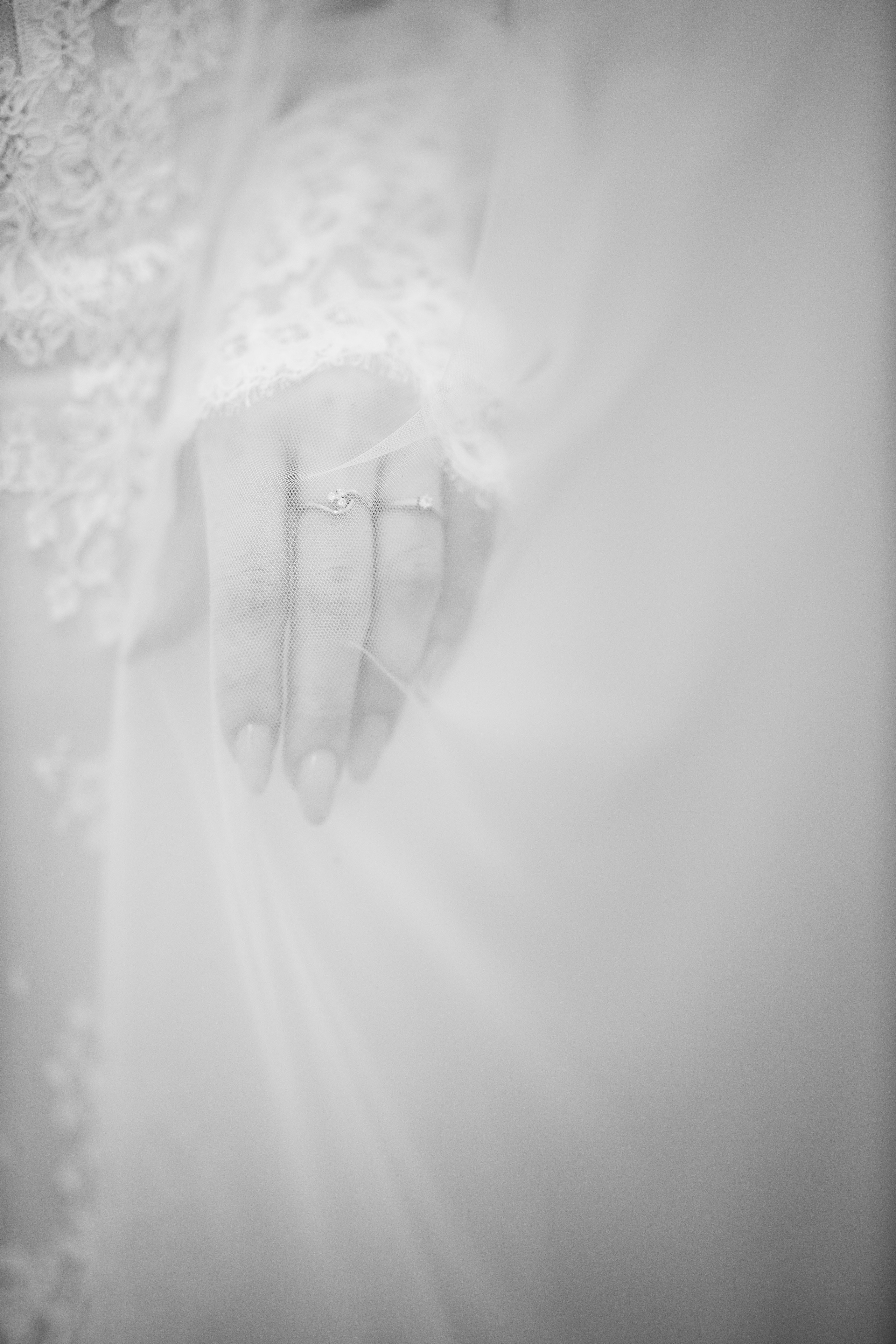 Nevena I Ivan. Ljubica I Marko Weddings I Fotograf za venčanja Beograd, Srbija