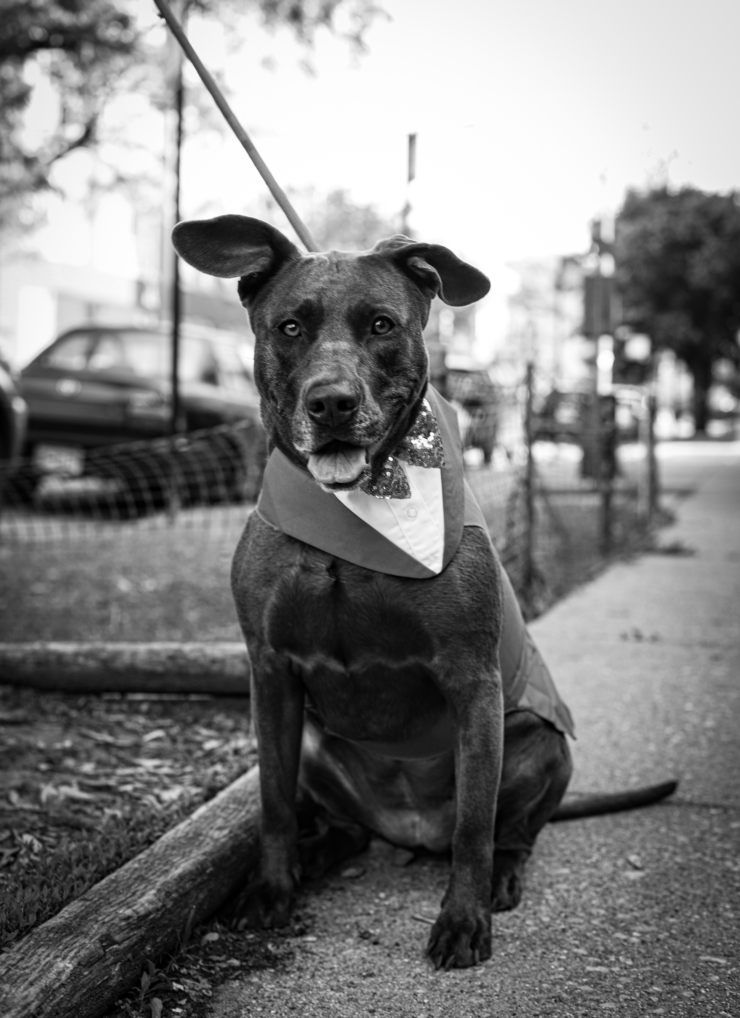 Jany and Ricardo. VALERIIA VIUNOVA individual shooting\love story\event\brand