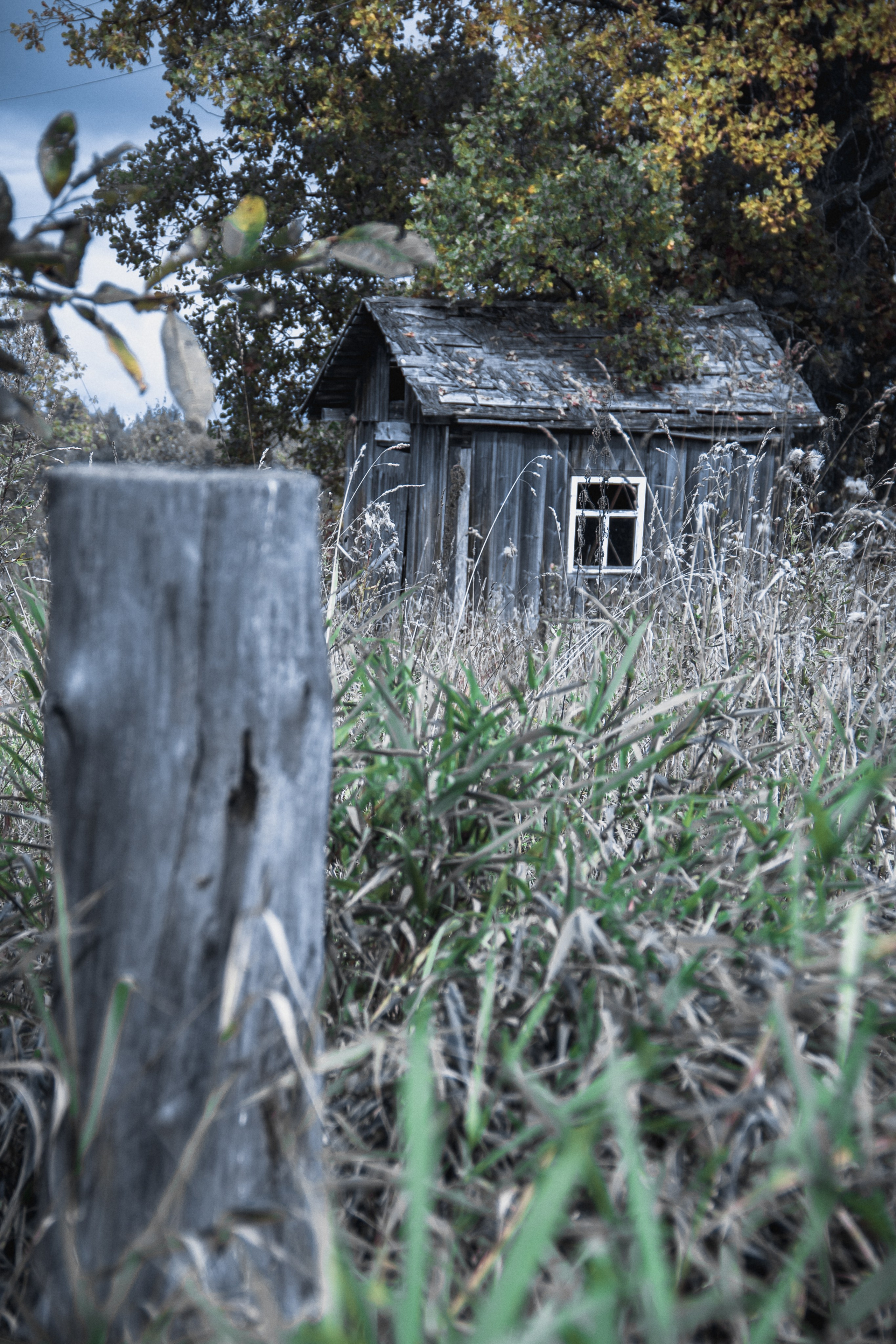 Verlassenes Russland: Manturowo im Gebiet Kostroma. Maria Chistyakovа — Fotografin in Karlsruhe, Baden-Baden und Umgebung