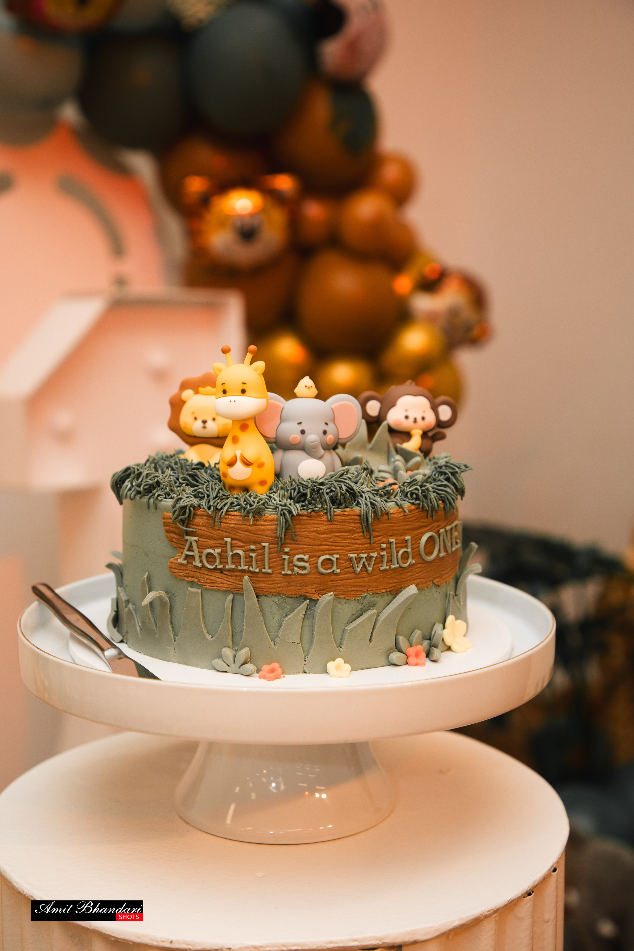 AAHIL’s 1st Birthday. Freelance Photographer in Newcastle & Central Coast