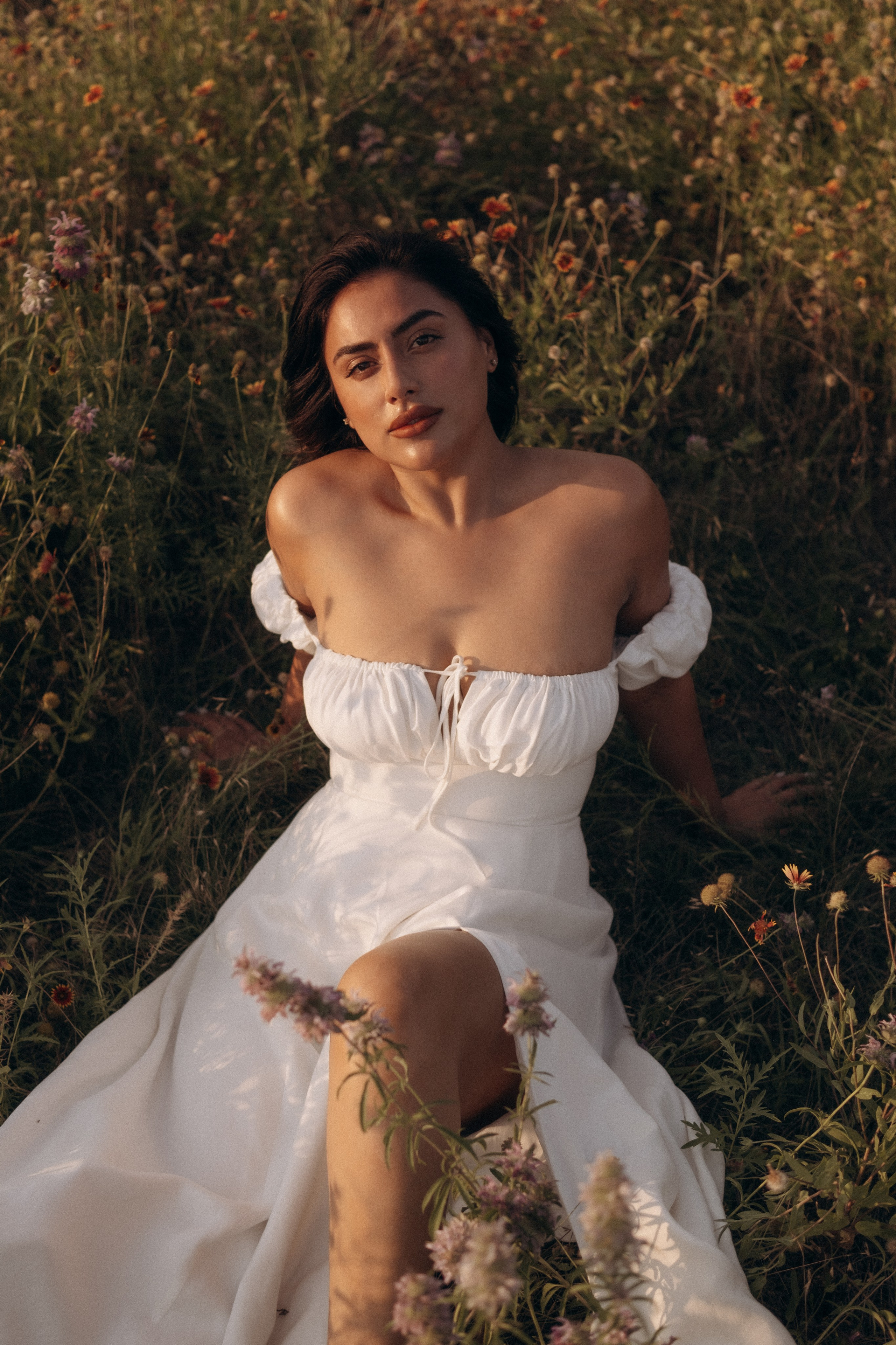 Fields of Flowers. Lens Captures Life