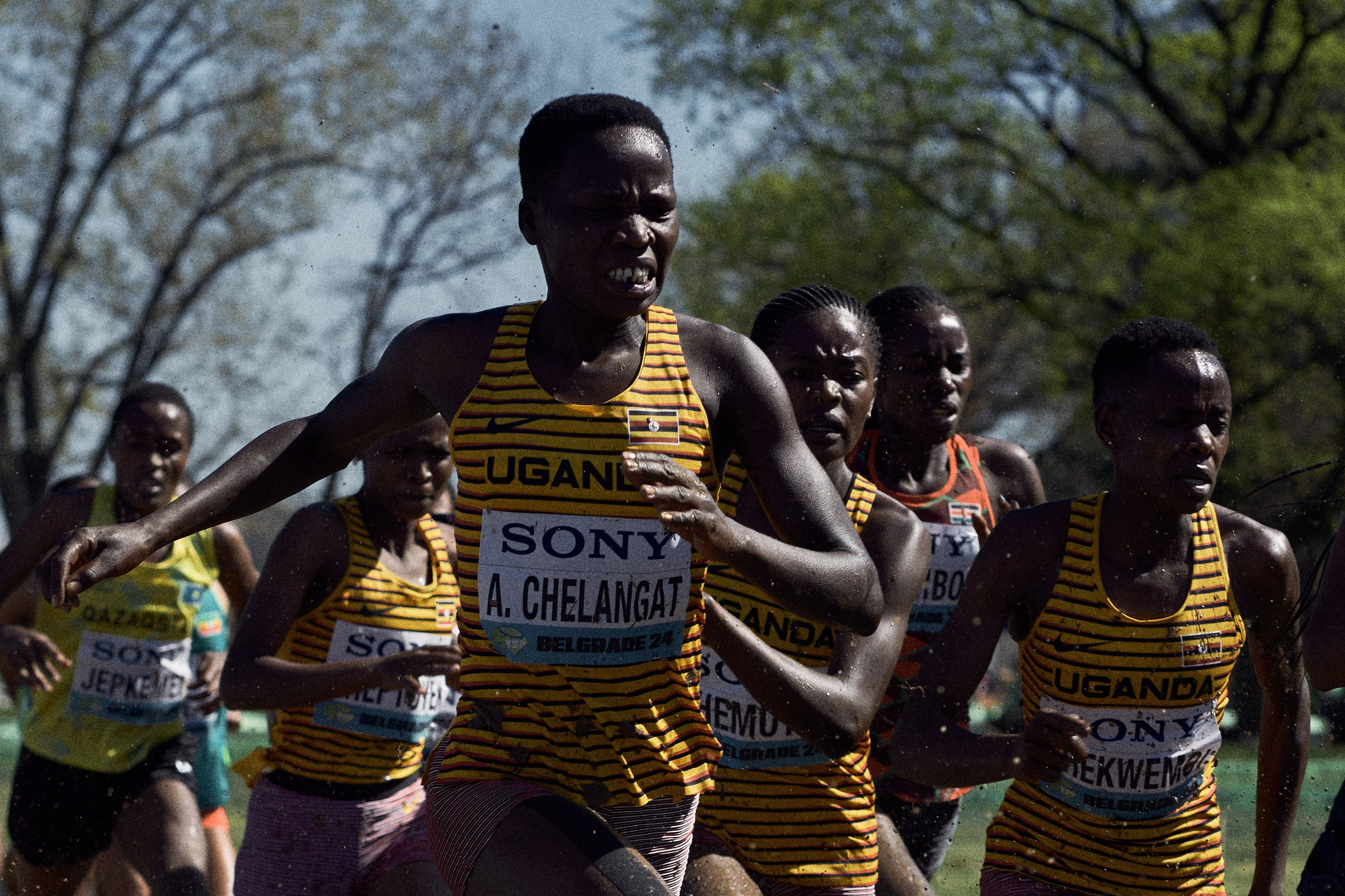 Cross Country Championship 2024 #running. Photographer Evgeniya Dovgalyuk