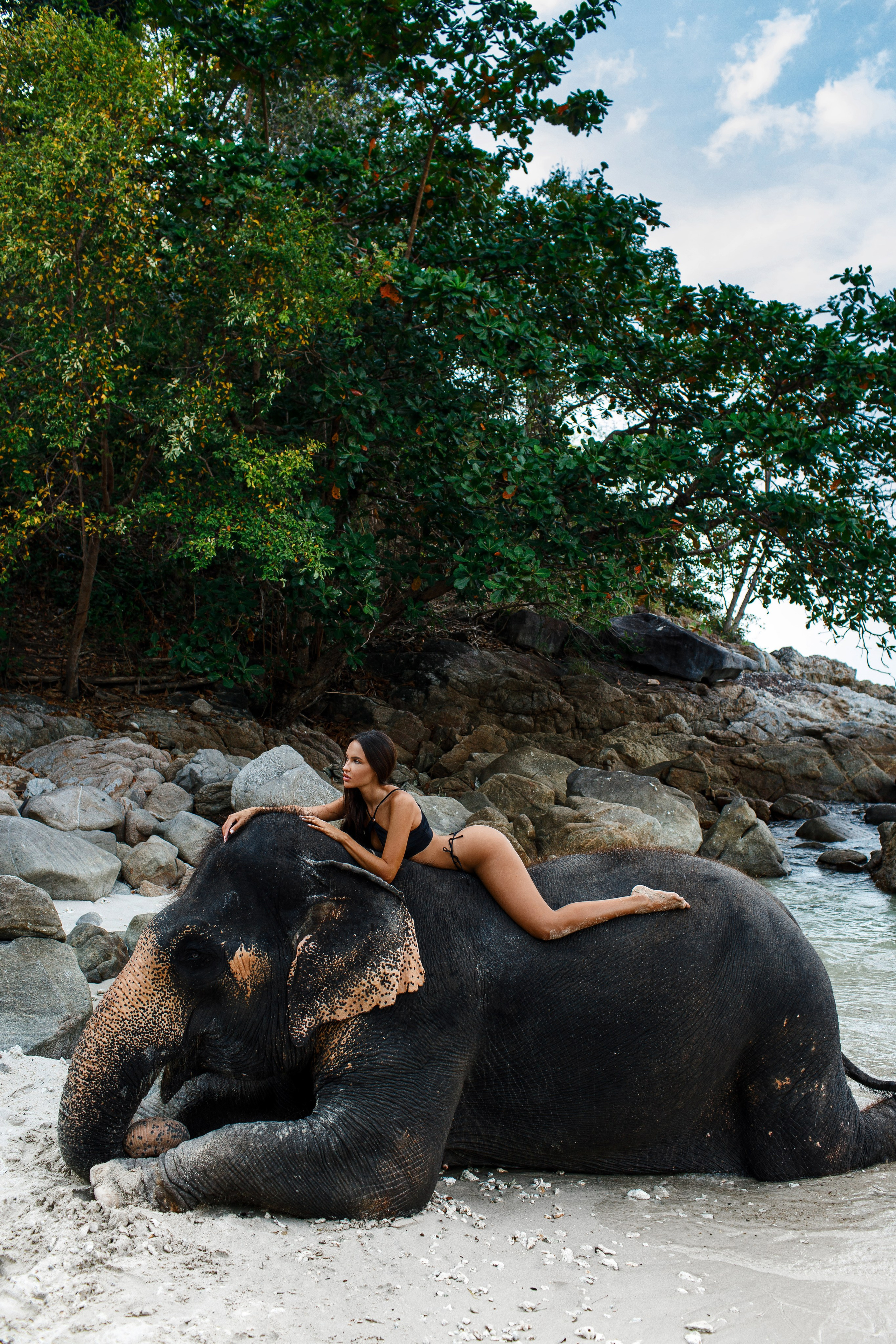 Photo with elephant. Photographer in Phuket. Photographer Thailand