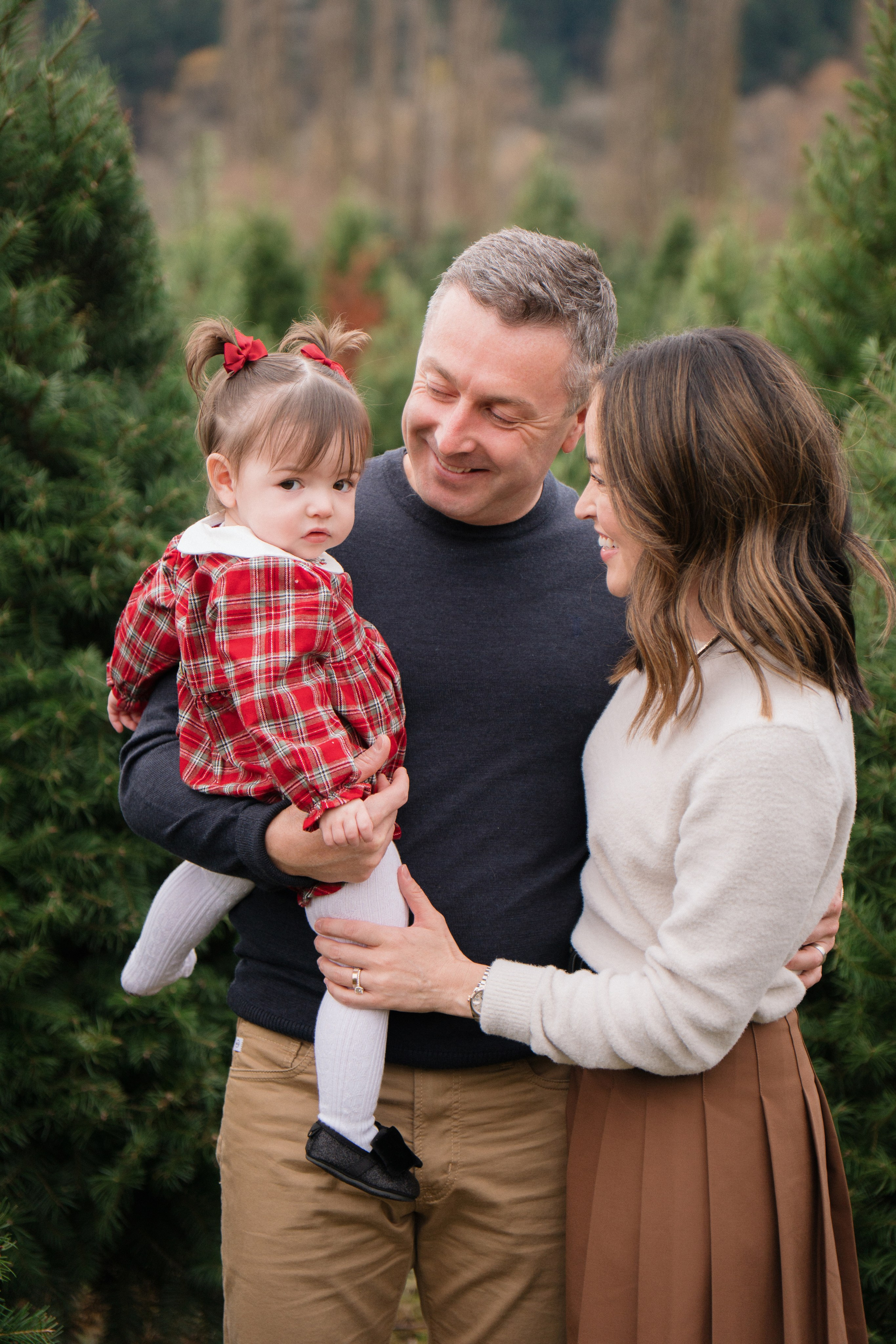 Christmas sessions. Photographer in Washington Sophia D