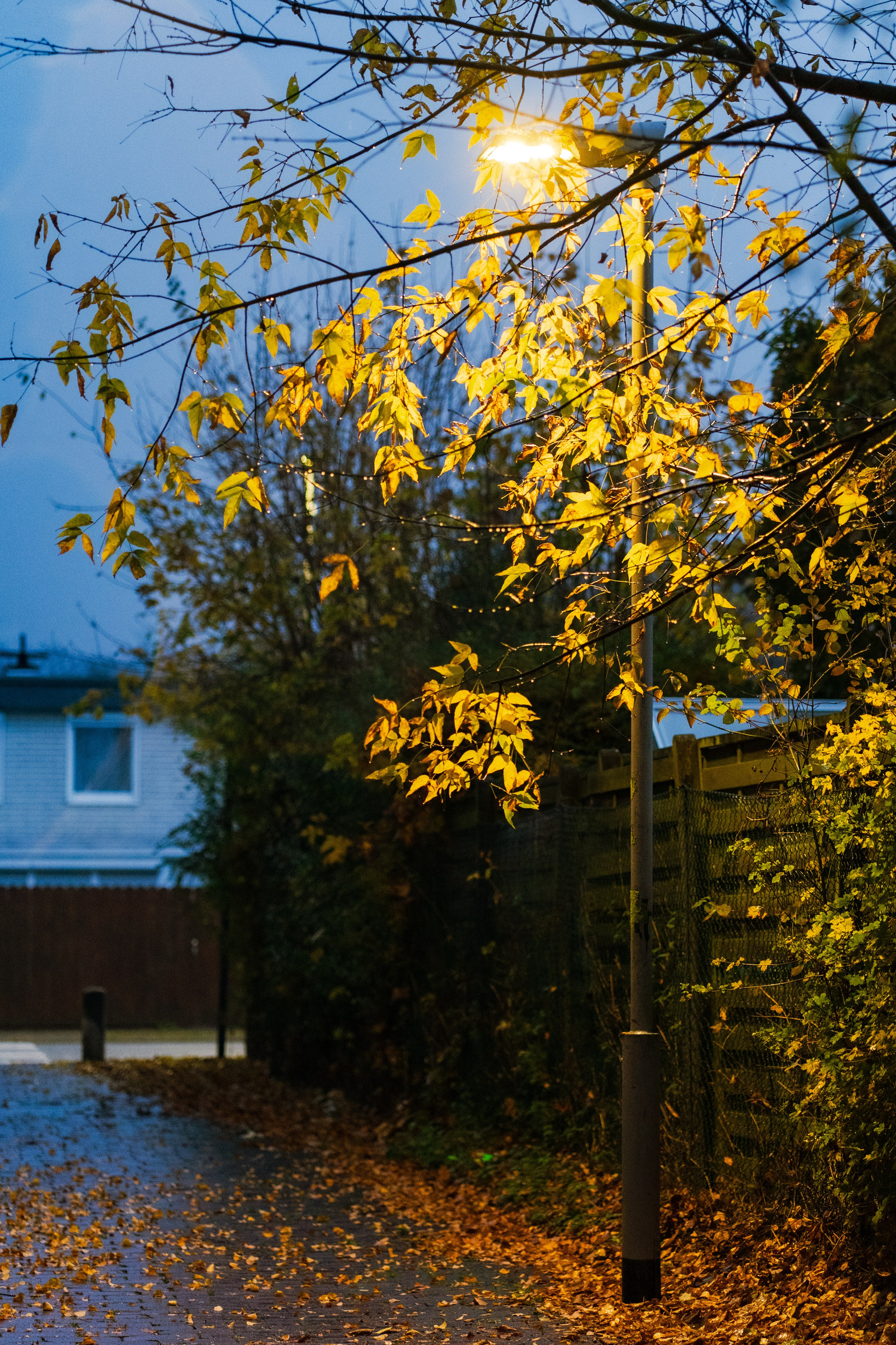 Landschaftsfotografie. Bürgerreporter & Amateurfotograf in Hannover