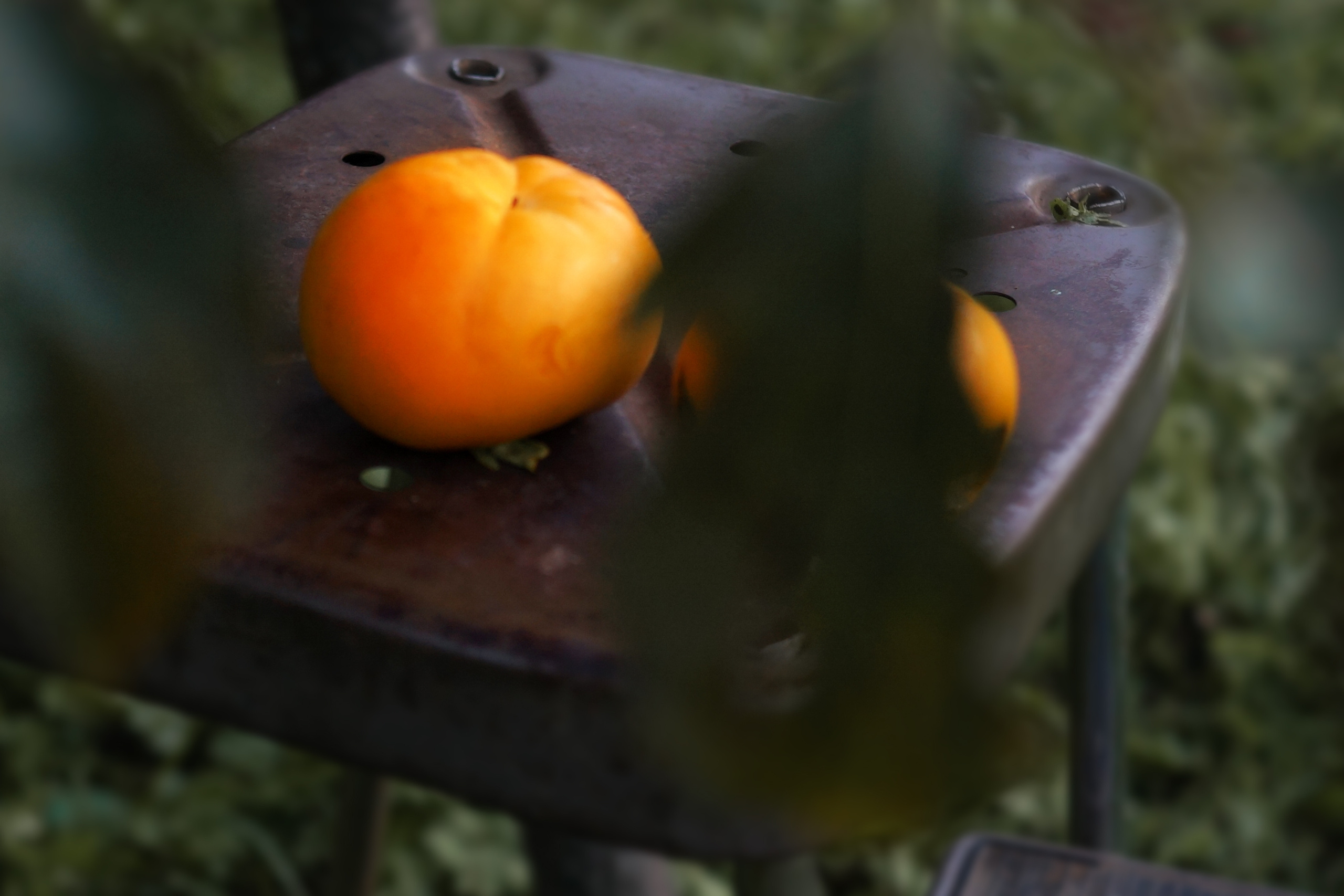 Bambini. Fotografa di bambini e famiglie in Italia. Vittoria Peresada