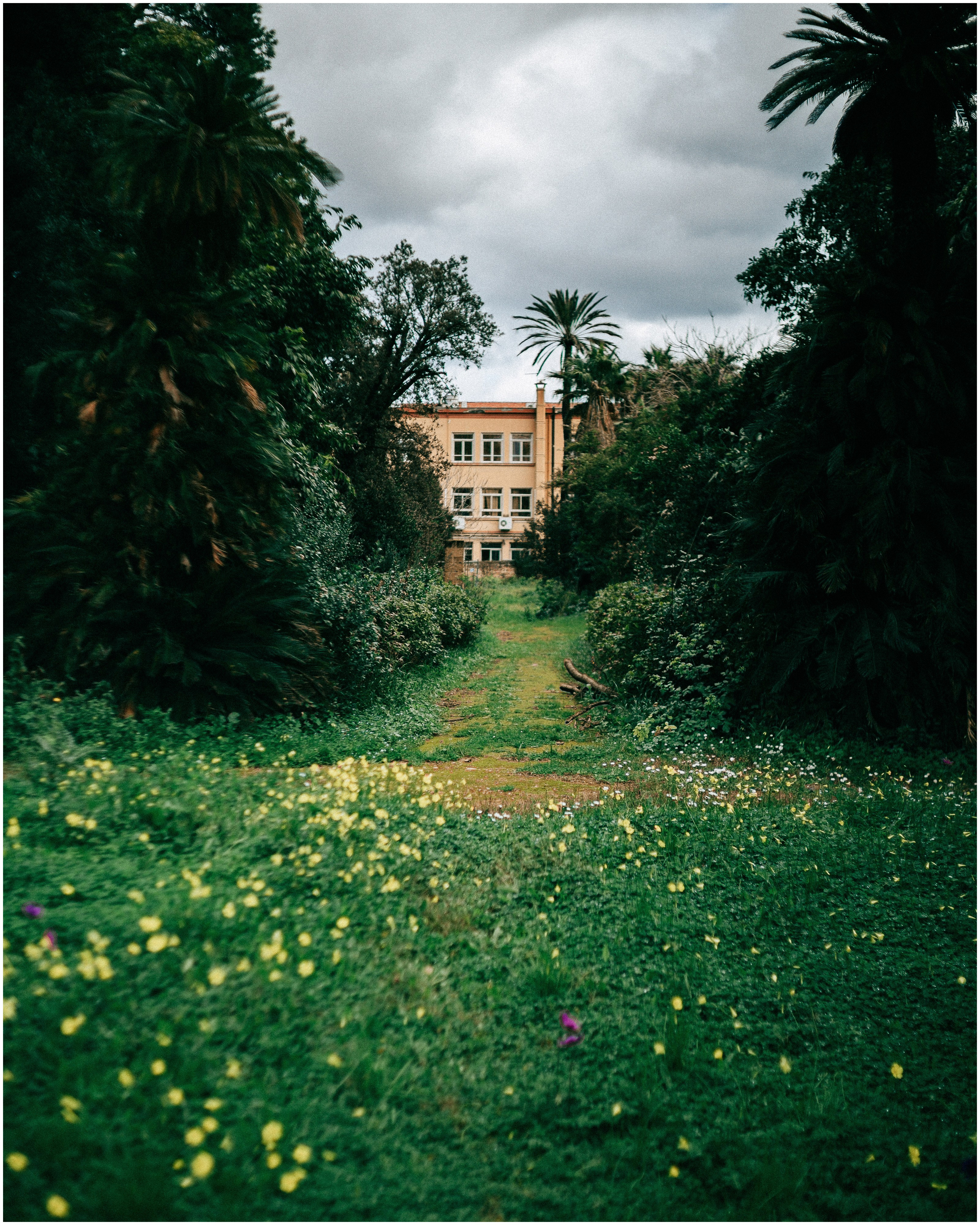 PALERMO. Photographer Inna Mendelson