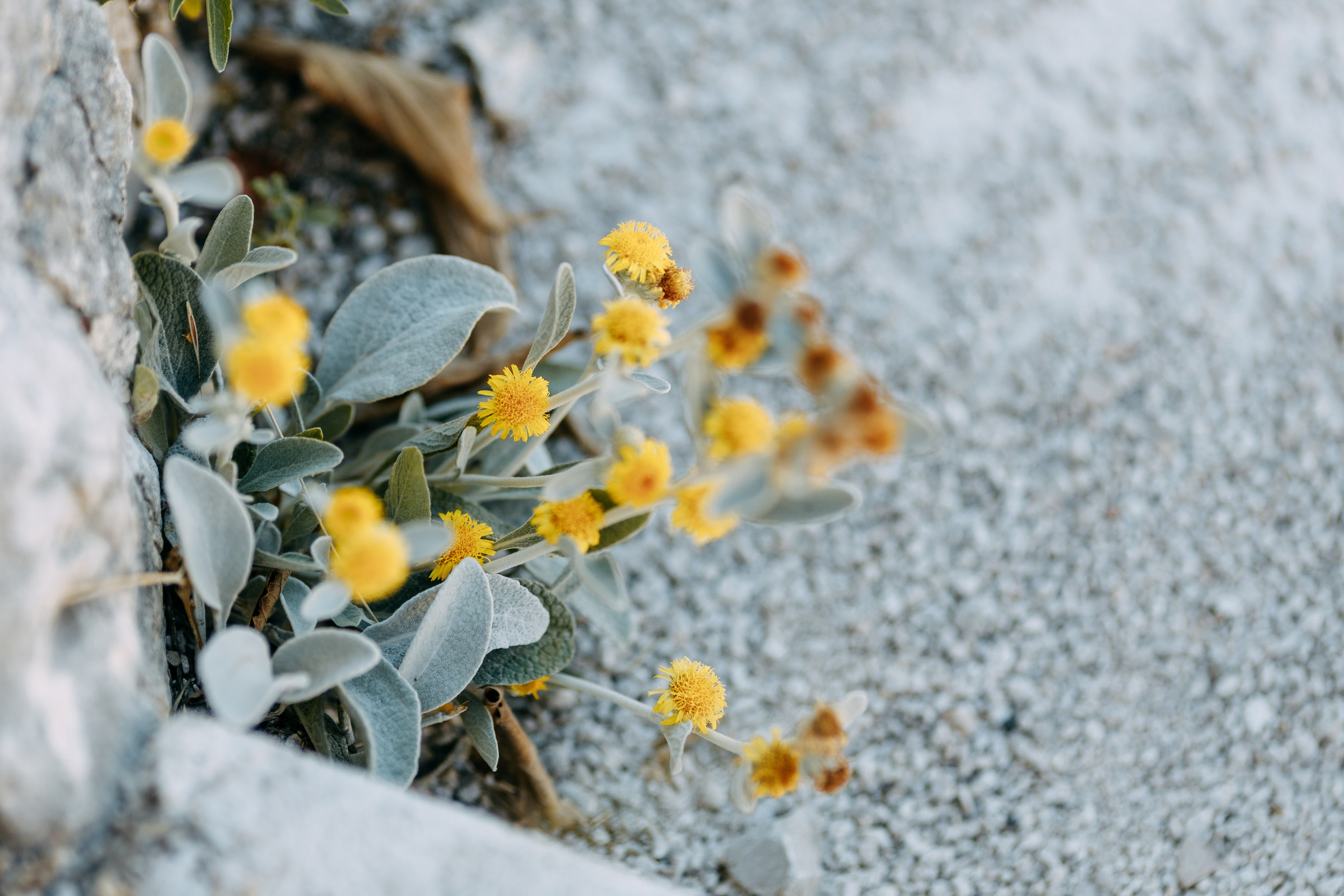 Love Kroatien. Professionele fotografin in Münsingen Olesia Wegele