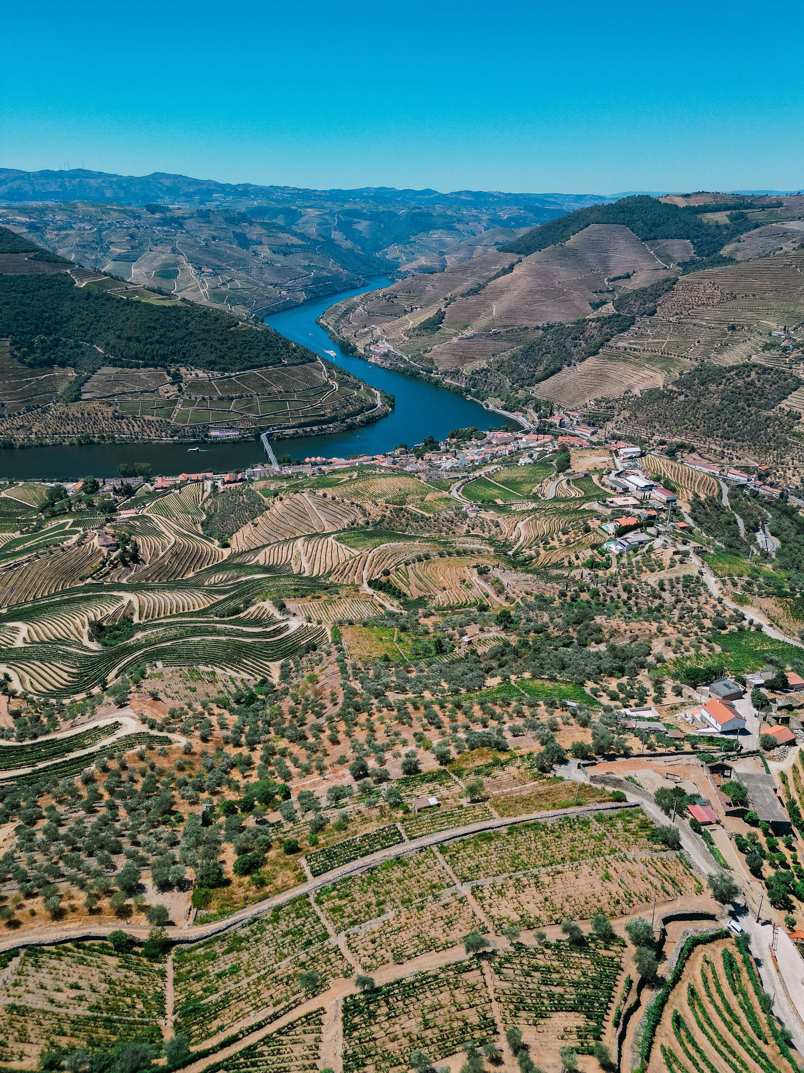 Wedding Proposal at Douro Valley — Arthur & Ana. Wedding & destination wedding photographer in Porto, Portugal — Davi Valente | Lisbon, Douro Valley, Rome, Tuscany & Lake Como
