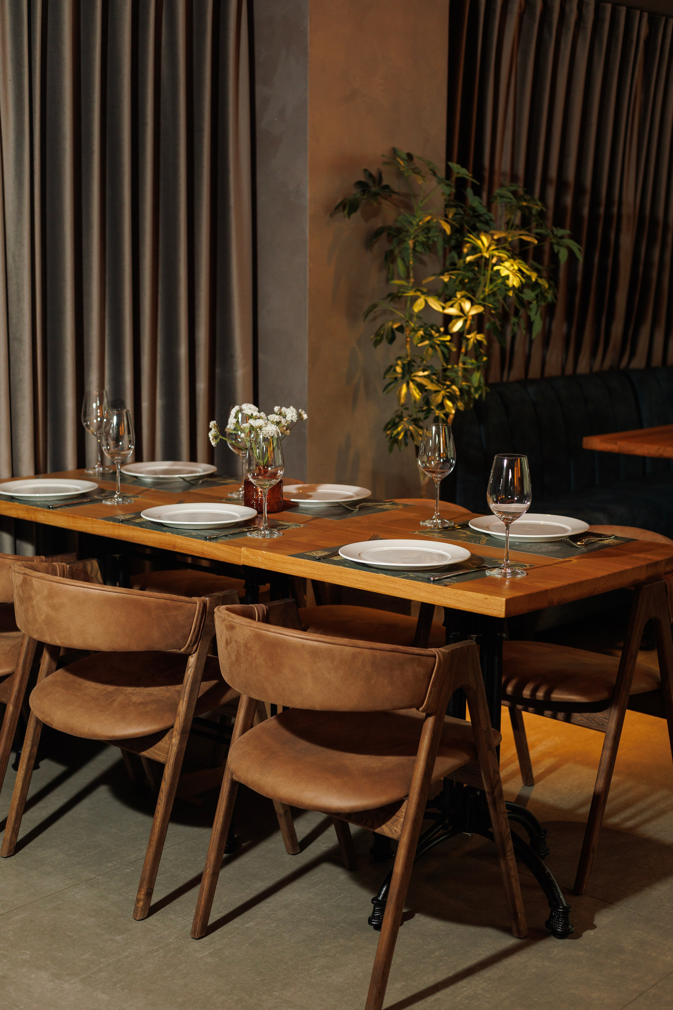 Divus. Captured by Hallovud