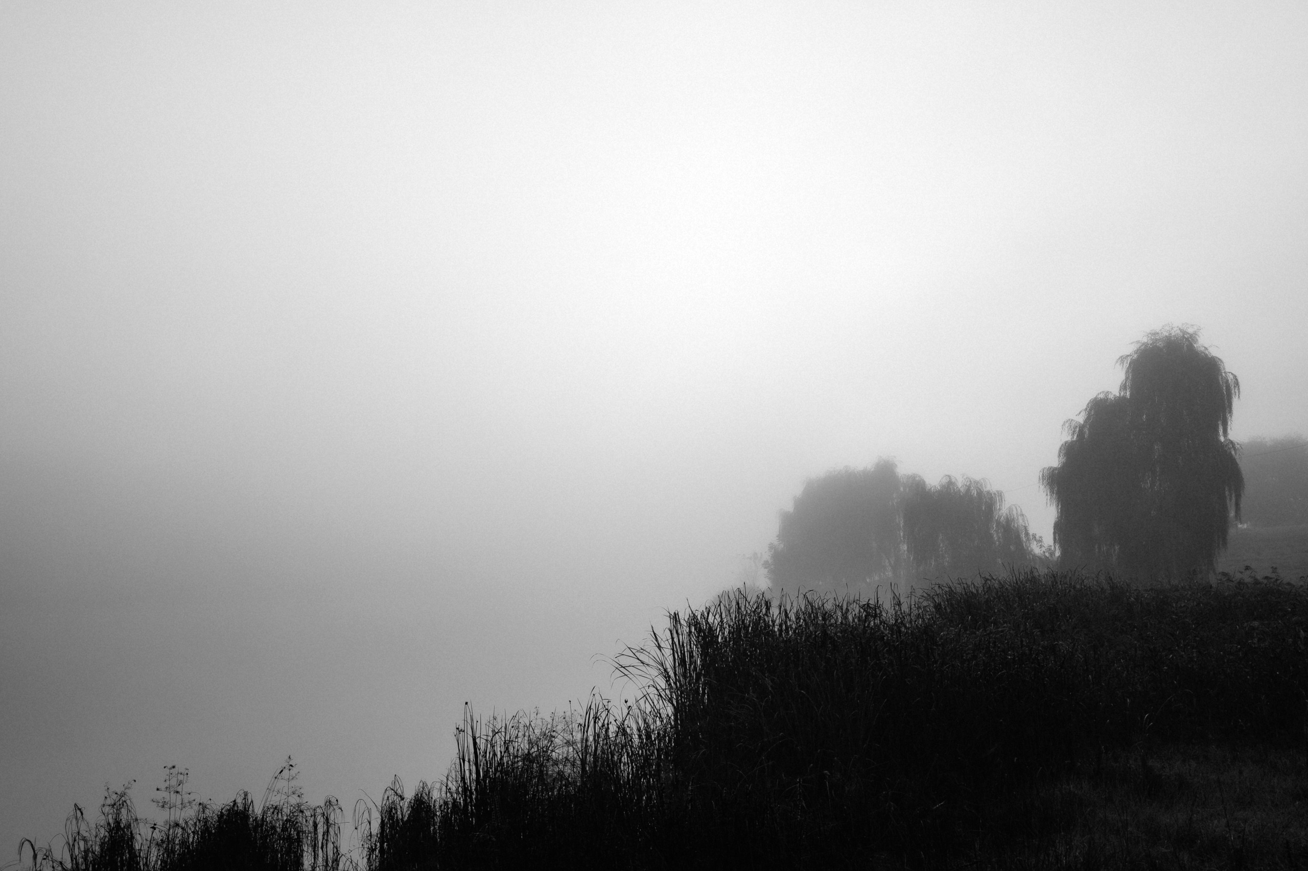 MARIANA — AUTUMN TIME. Fulga Photographer