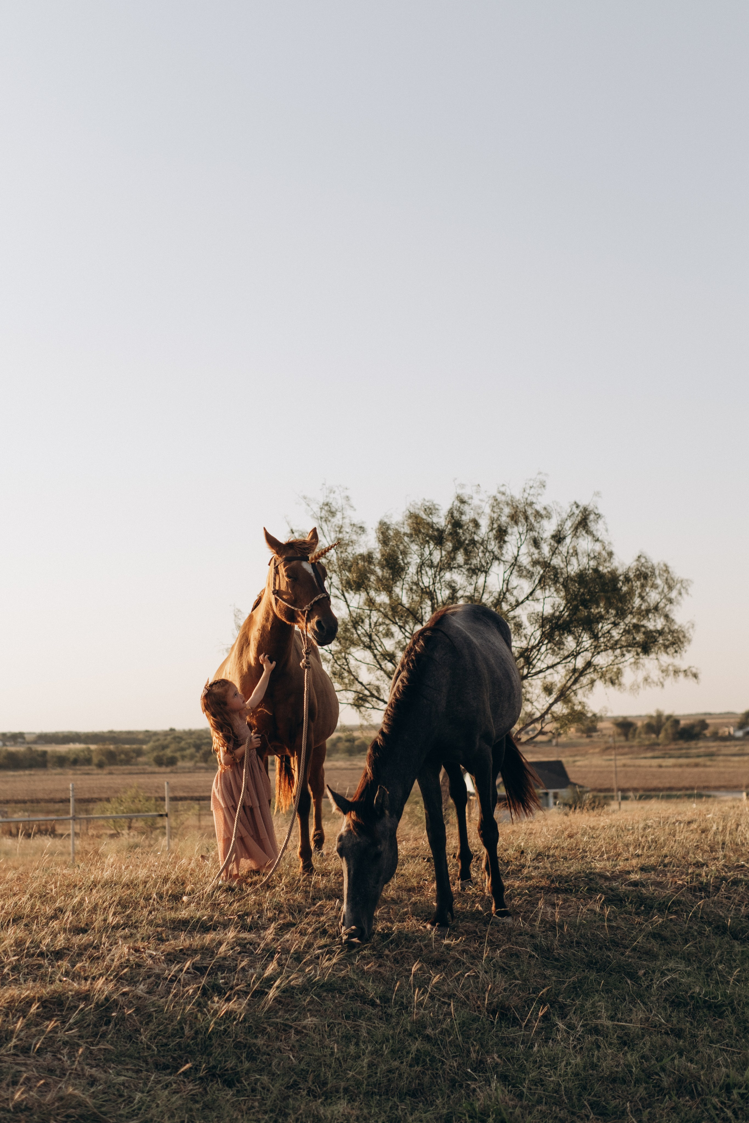 Little Princess. Lens Captures Life